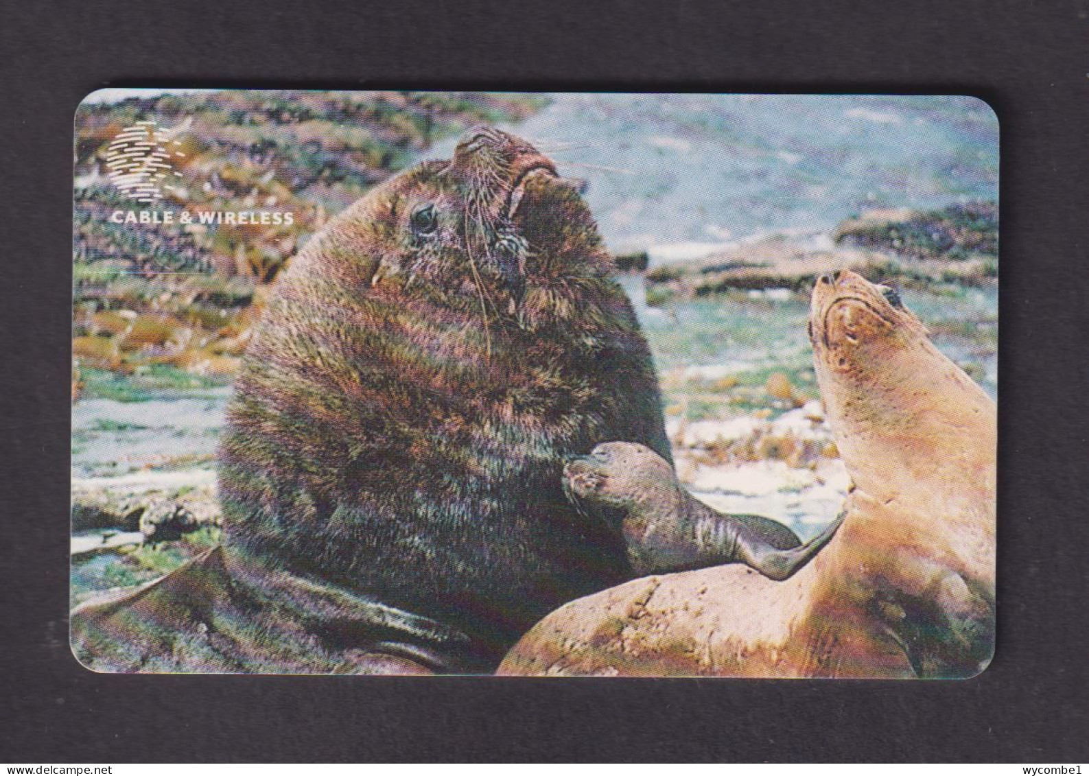 FALKLAND ISLANDS - Sea Lions Chip Phonecard - Isole Falkland