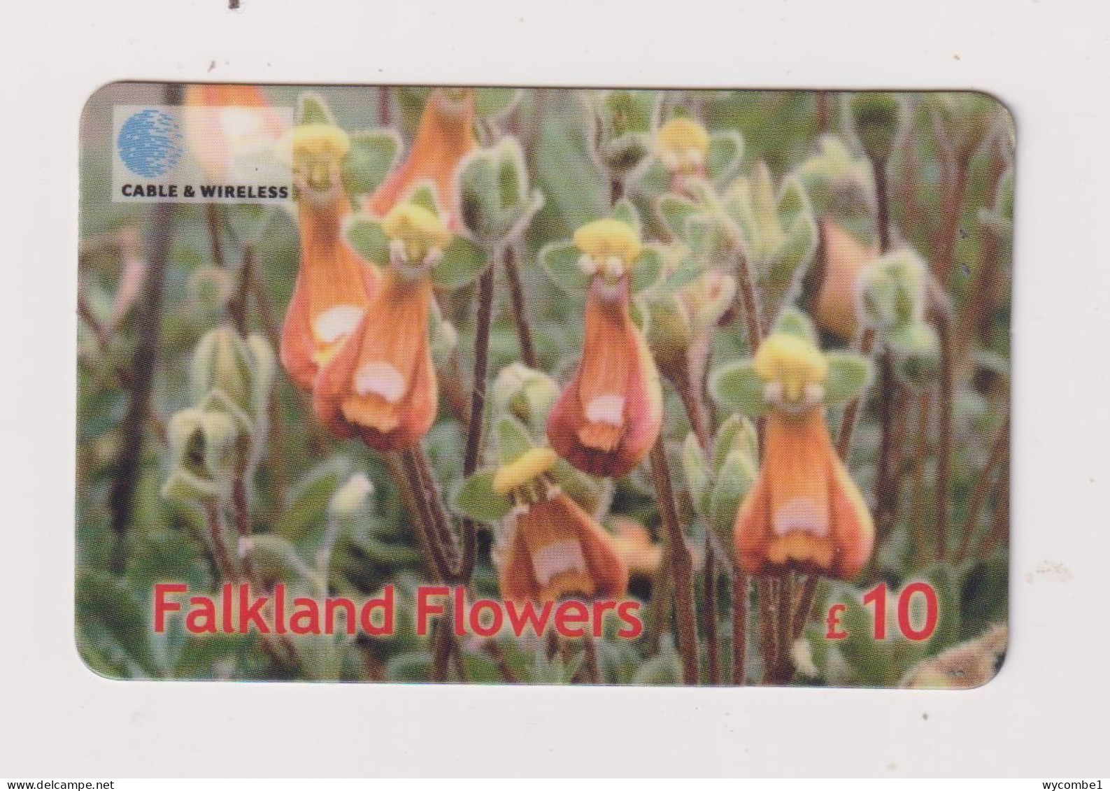 FALKLAND ISLANDS - Lady's Slipper Remote Phonecard - Islas Malvinas