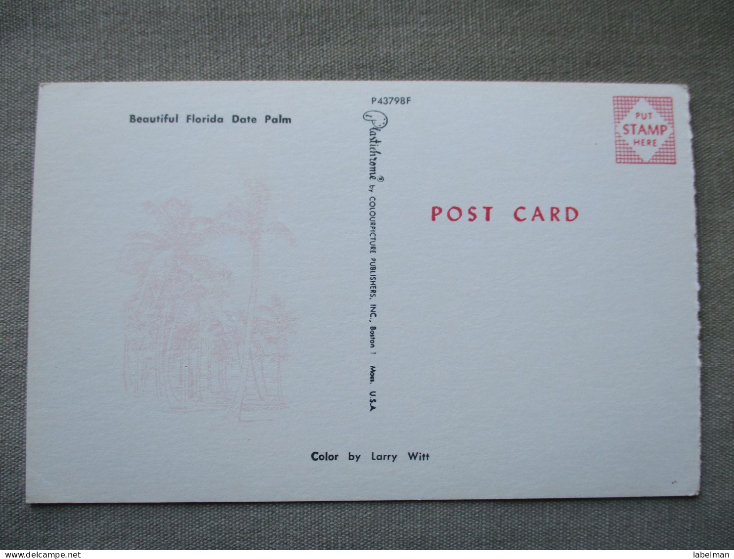 USA UNITED STATES FLORIDA DATE PALM PANORAMA KARTE CARD POSTCARD CARTE POSTALE ANSICHTSKARTE CARTOLINA POSTKARTE - Atlanta