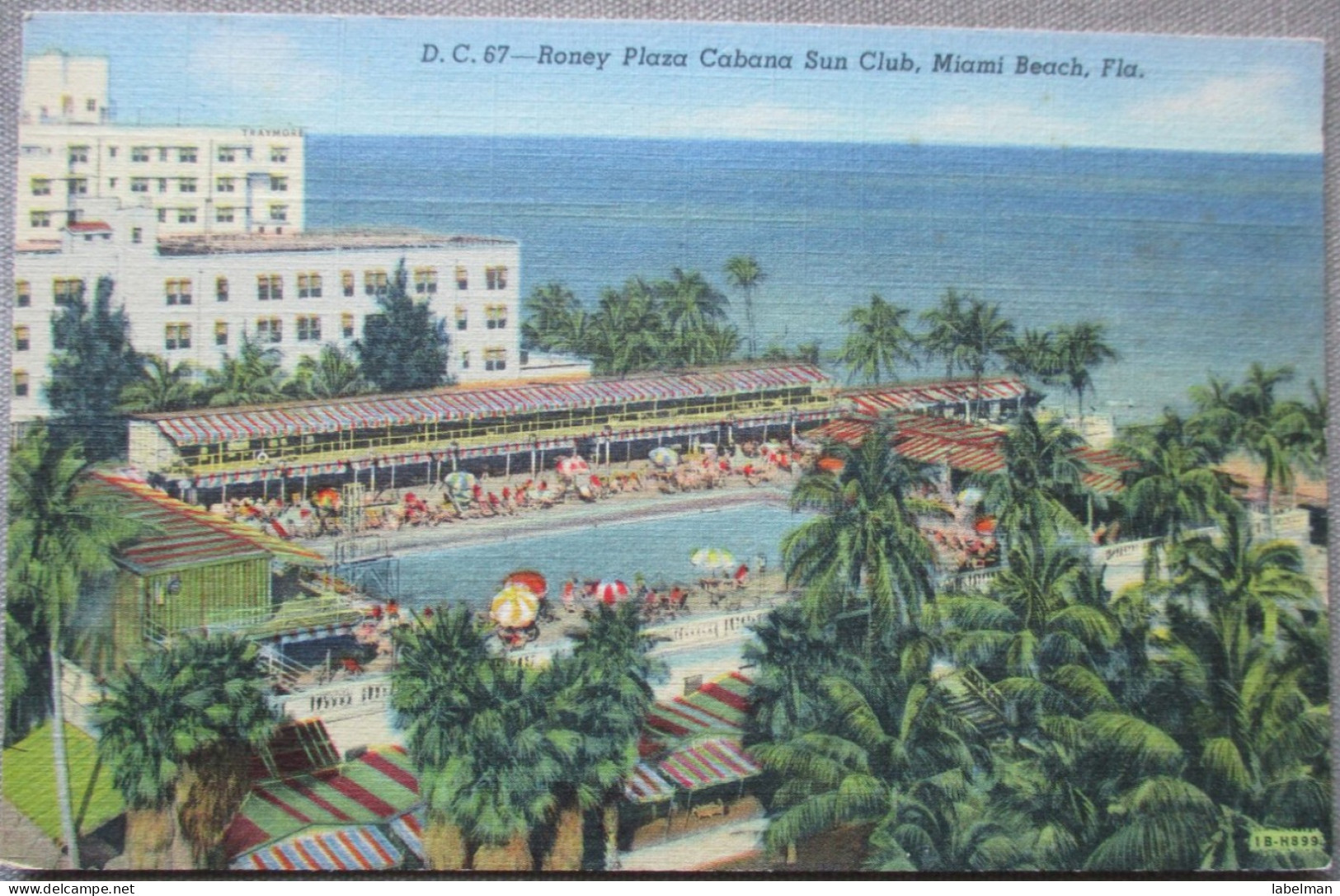 USA UNITED STATES FLORIDA RONEY PLAZA HOTEL MIAMI BEACH CARD POSTCARD CARTE POSTALE ANSICHTSKARTE CARTOLINA POSTKARTE - Atlanta