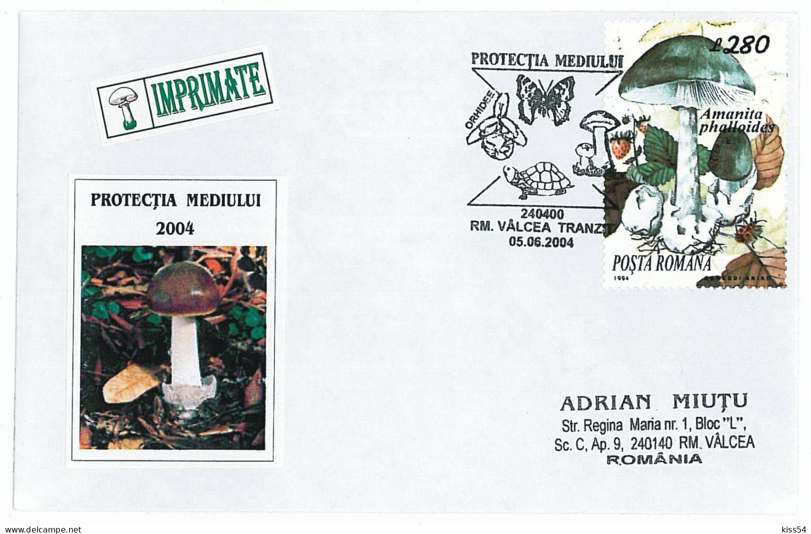 COV 64 - 374 MUSHROOM & Turtle, Romania - Cover - Used - 2004 - Légumes