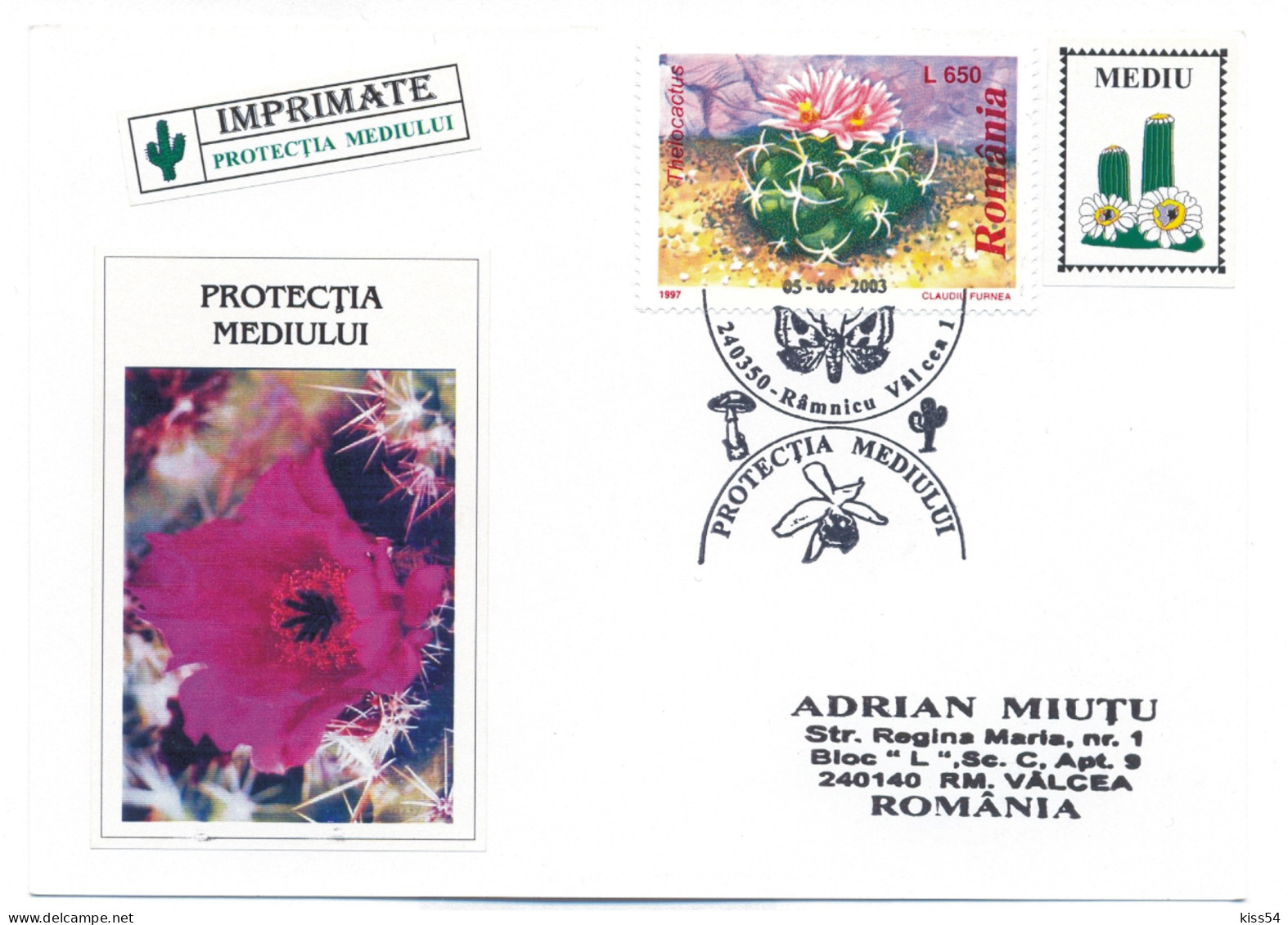 COV 64 - 684 CACTUSSES, Romania - Cover - Used - 2003 - Cactusses