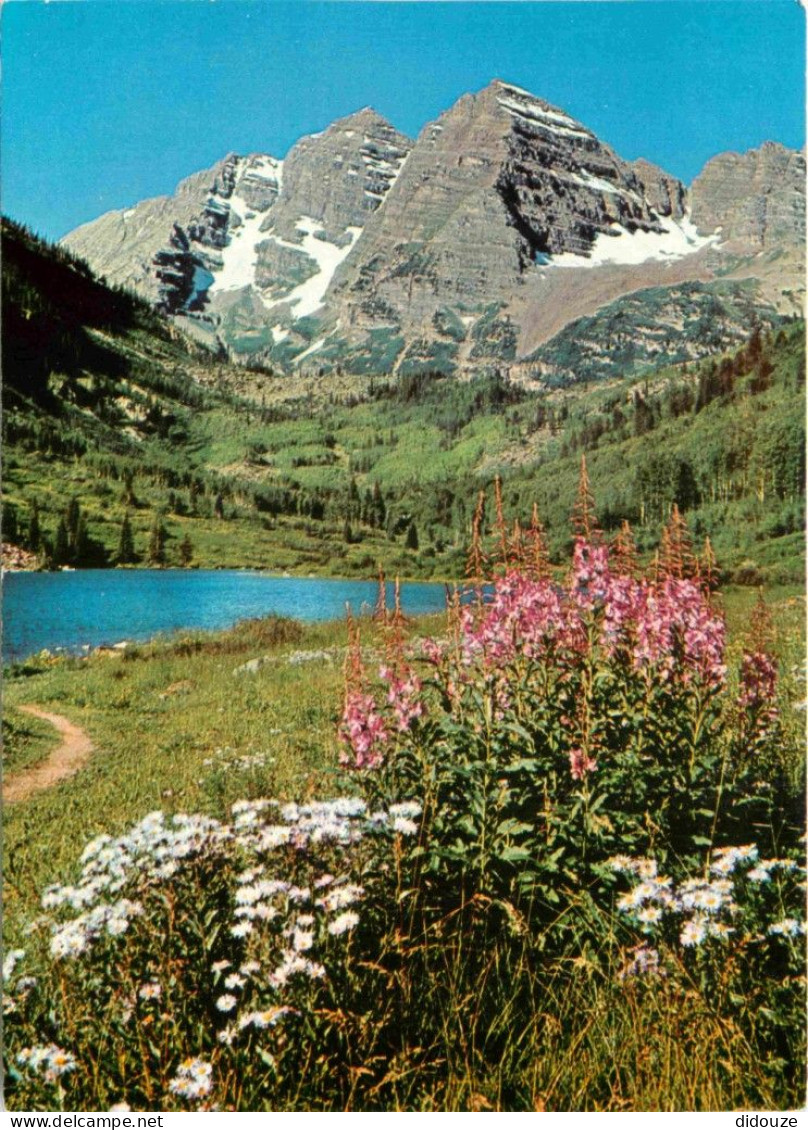 Etats Unis - Maroon Bell Peaks And Wildflowers Near Aspen - Etat Du Colorado - Colorado State - CPM - Carte Neuve - Voir - Autres & Non Classés