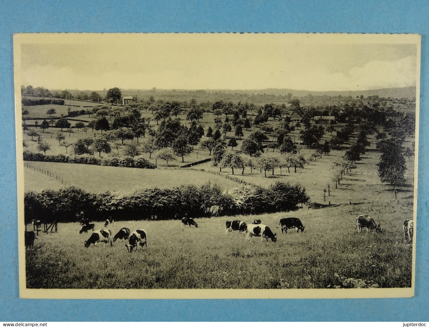 Battice Panorama - Herve