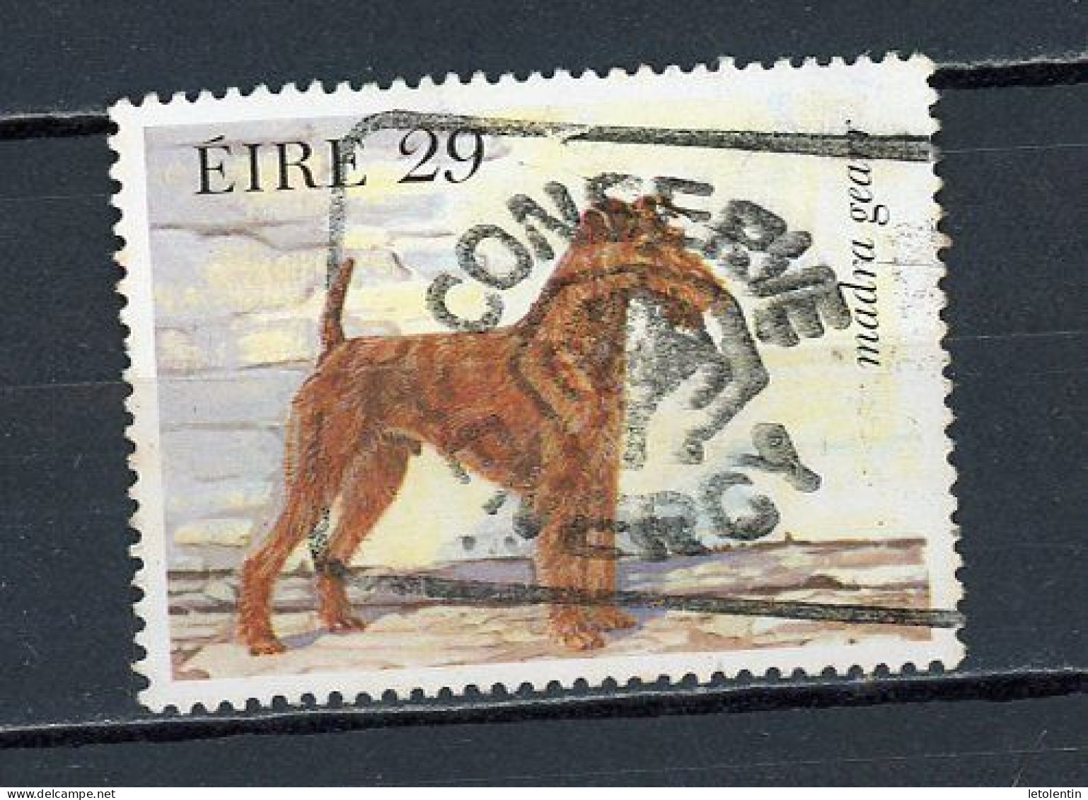 IRLANDE -  CHIEN  - N° Yvert 509 Obli - Gebruikt