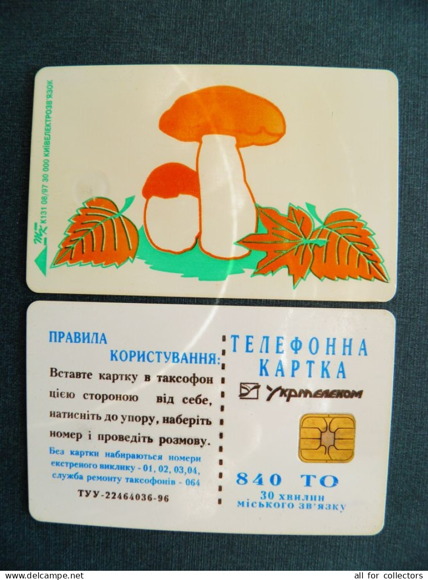 Phonecard Chip Mushrooms Mushroom Champignon K131 08/97 30,000ex. 840 Units UKRAINE - Oekraïne