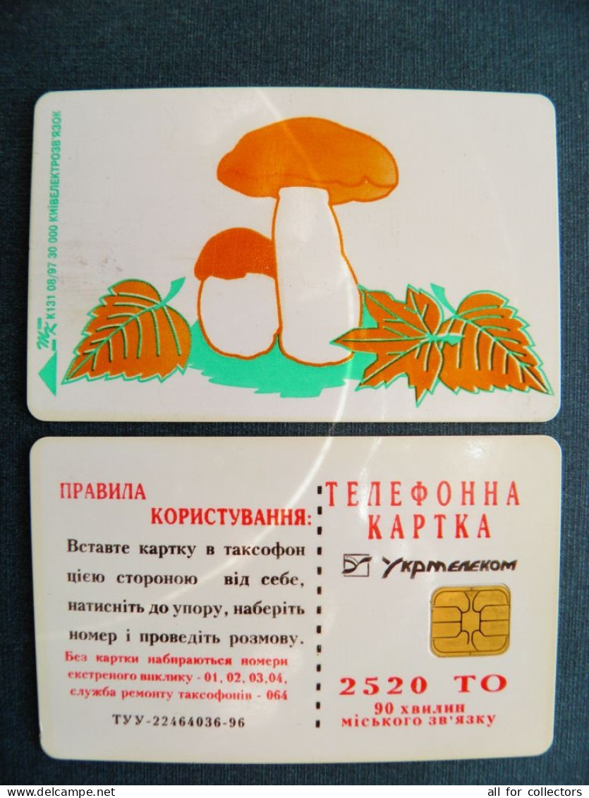 Phonecard Chip Mushrooms Mushroom Champignon K131 08/97 30,000ex. 2520 Units UKRAINE - Oekraïne