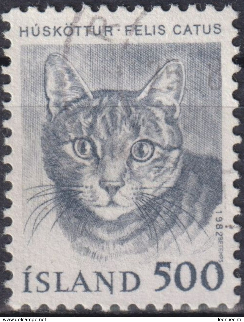 1982 Island > 1944-... Republik ° Mi:IS 582, Sn:IS 558, Yt:IS 535, Domestic Cat (Felis Silvestris Catus), Katze - Used Stamps