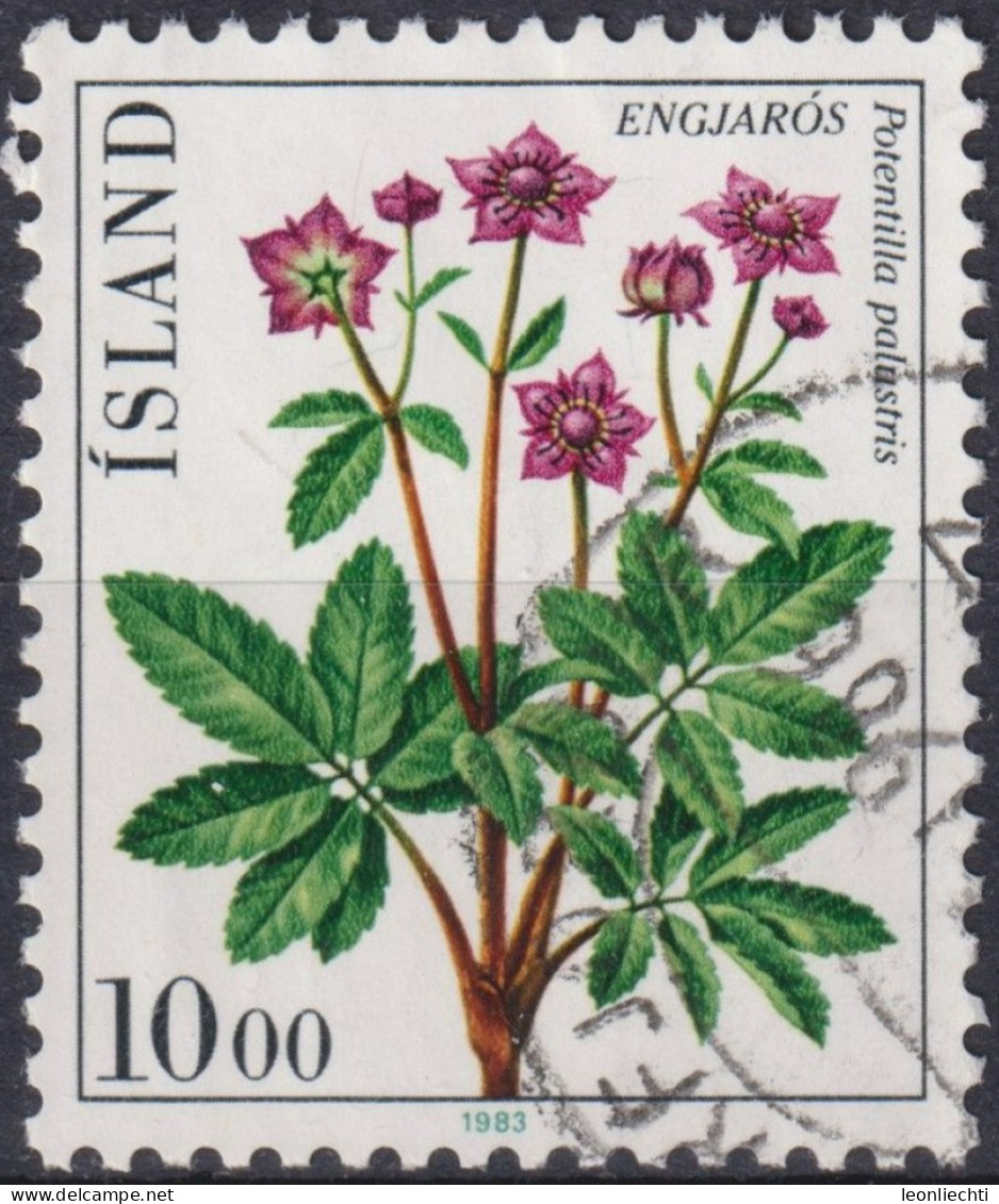 1983 Island > 1944-... Republik ° Mi:IS 594, Sn:IS 569, Yt:IS 547, Marsh Cinquefoil (Potentilla Palustris), Blumen - Usados