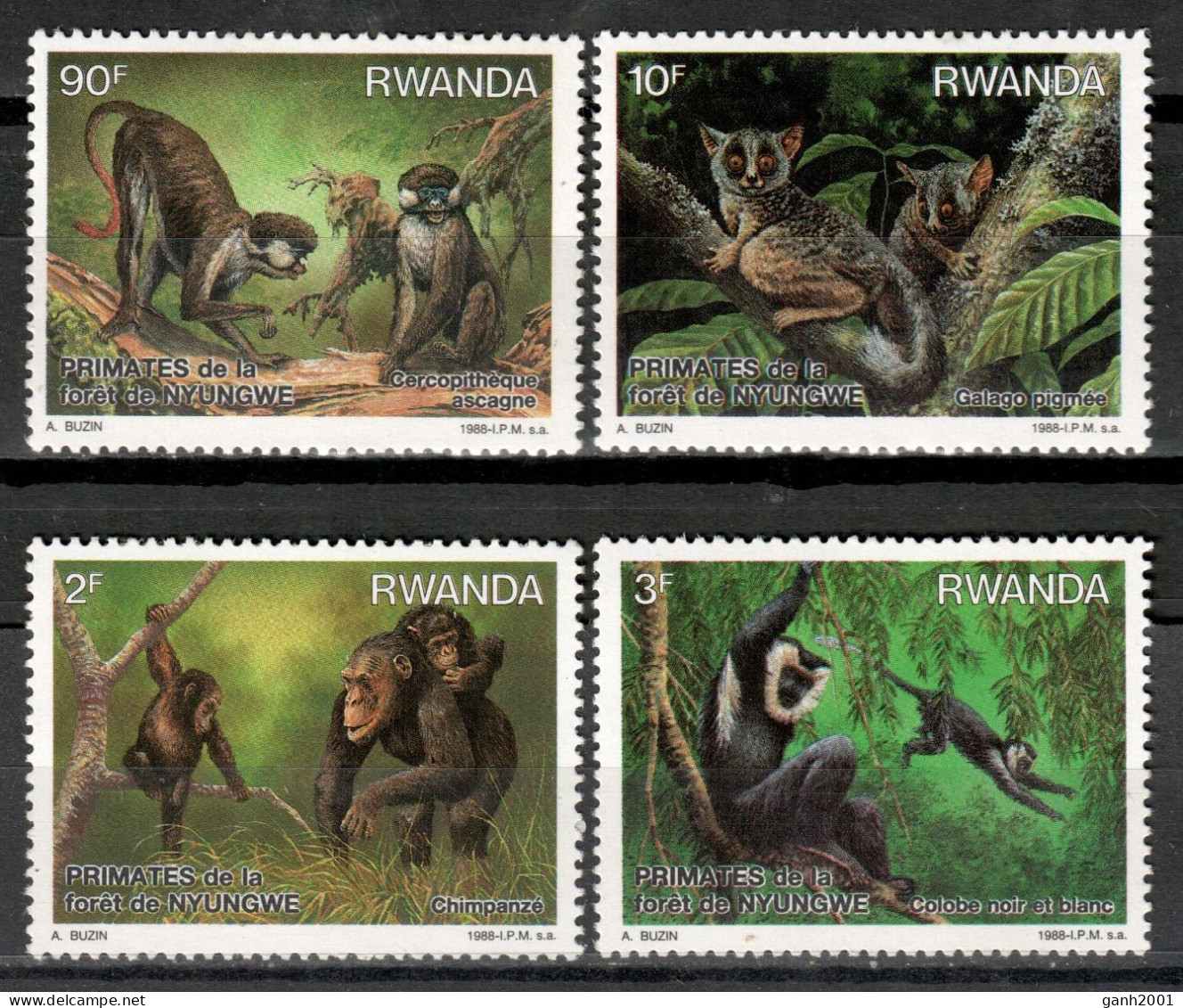 Rwanda 1988 Ruanda / Fauna Mammals Monkeys MNH Mamíferos Monos Säugetiere / Cu20565  36-50 - Apen