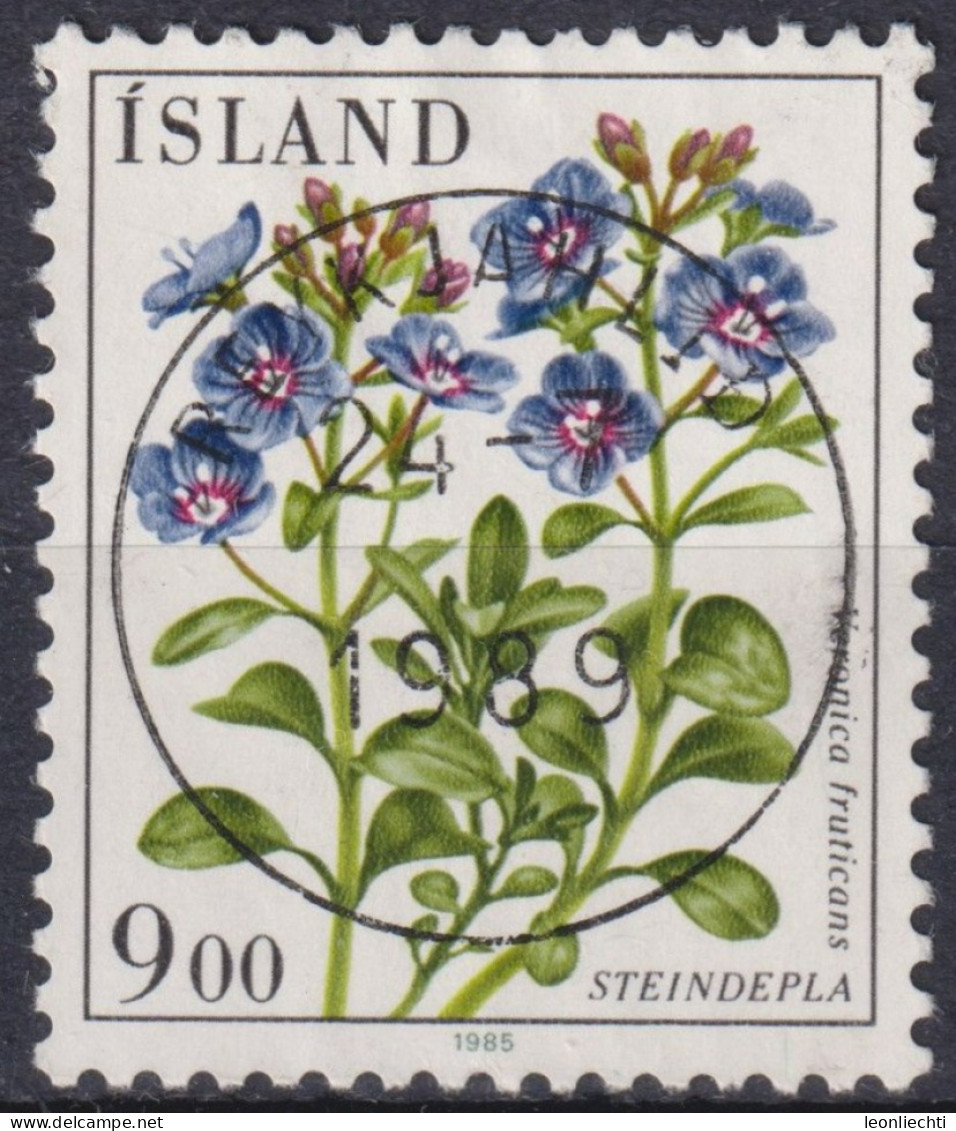 1985 Island > 1944-... Republik ° Mi:IS 629, Sn:IS 603, Yt:IS 582, Veronica Fruticans, Blumen - Oblitérés