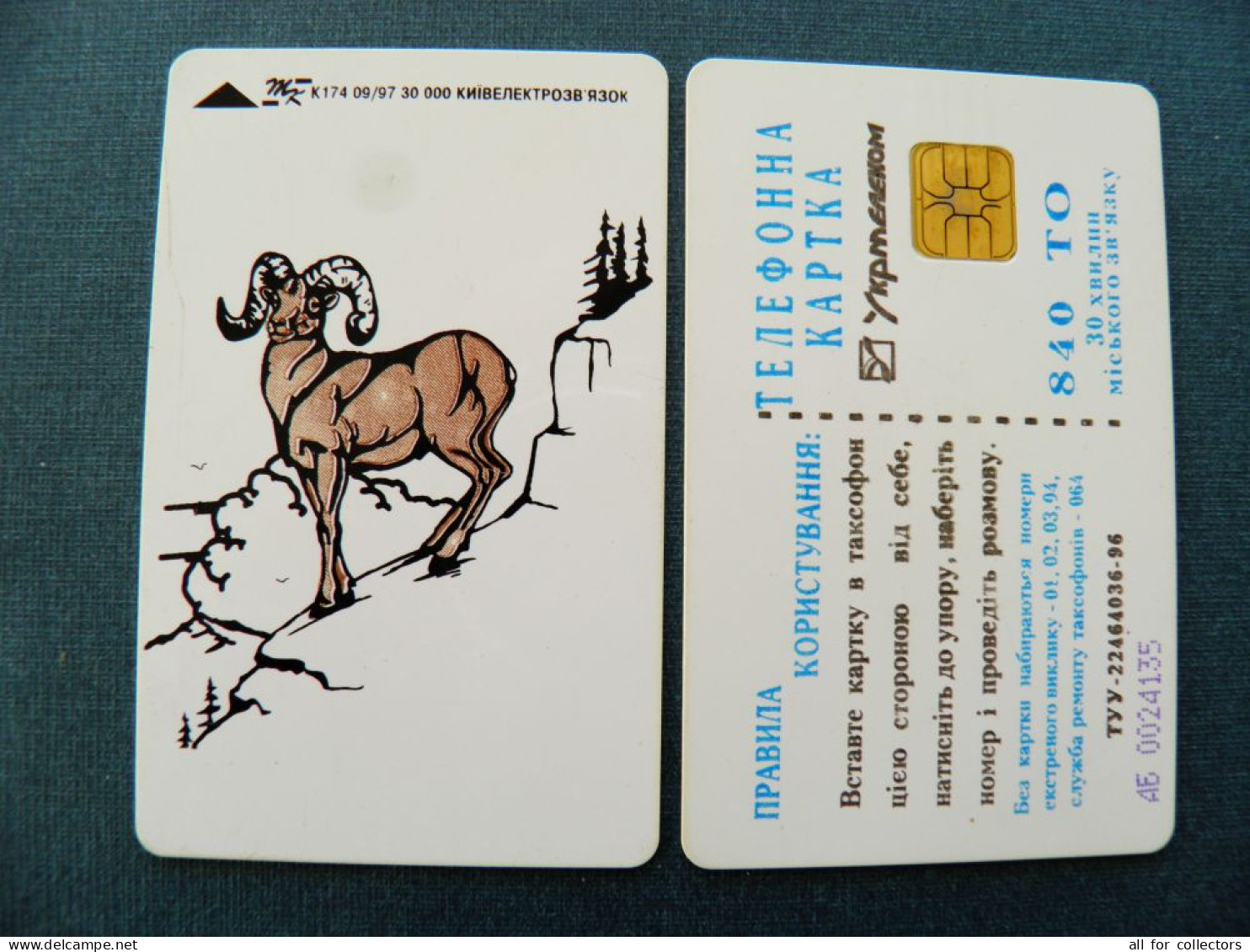 Phonecard Chip Animals Mountains Goat K174 09/97 30,000ex. 840 Units Prefix Nr. AB (in Cyrillic) UKRAINE - Oekraïne