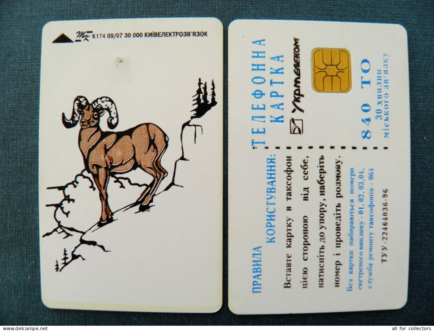 Phonecard Chip Animals Mountains Goat K174 09/97 30,000ex. 840 Units UKRAINE - Oekraïne