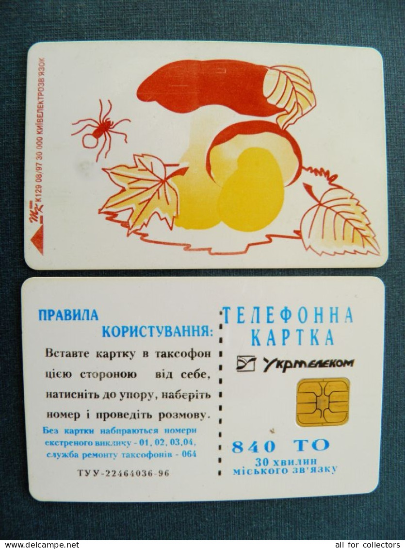 Phonecard Chip Animals Spider Mushroom Leaves Champignon K129 08/97 30,000ex. 840 Units UKRAINE - Oekraïne