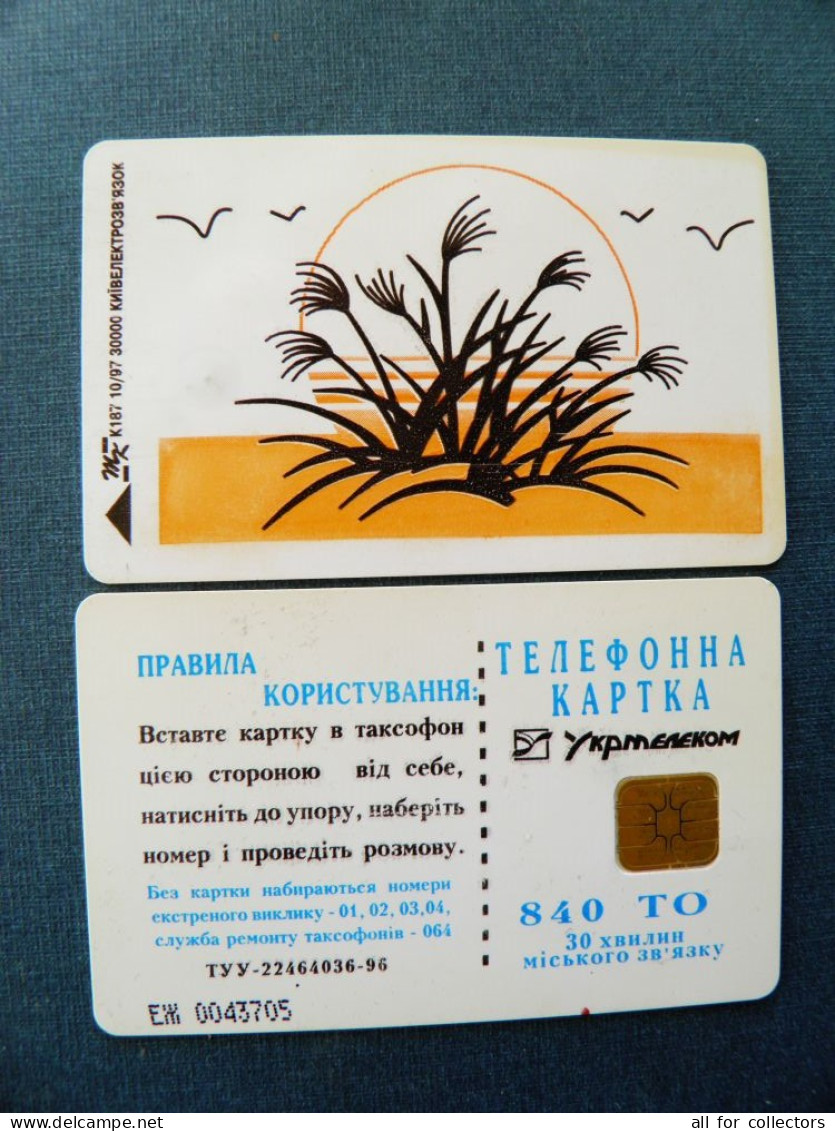 Phonecard Chip Birds+plant In Sunset K187 10/97 30,000ex. 840 Units Prefix Nr. EZh (in Cyrillic) UKRAINE - Ucraina