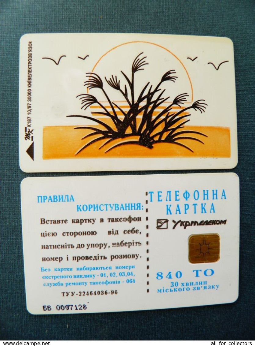 Phonecard Chip Birds+plant In Sunset K187 10/97 30,000ex. 840 Units Prefix Nr. BV (in Cyrillic) UKRAINE - Ucraina