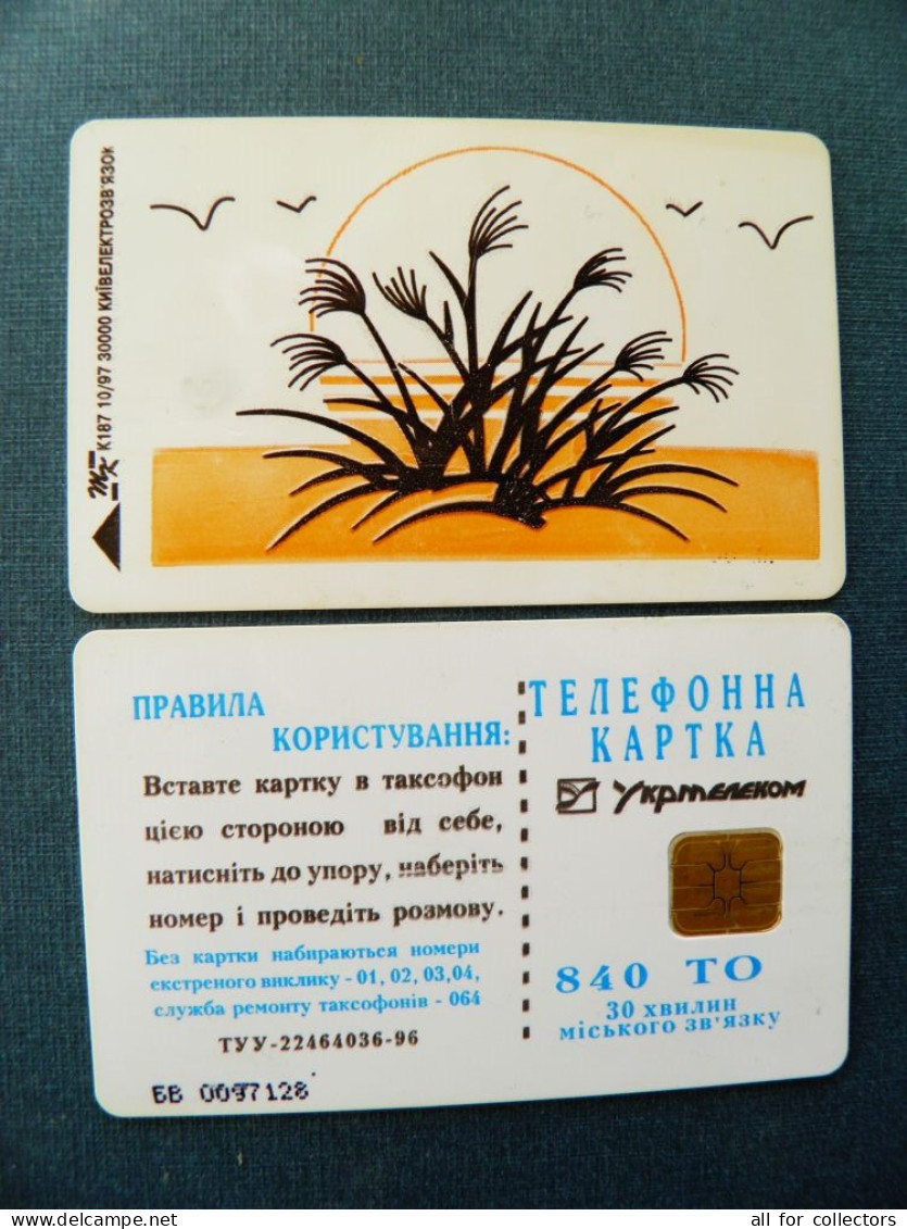 Phonecard Chip Birds+plant In Sunset K187 10/97 30,000ex. 840 Units Prefix Nr. BV (in Cyrillic) UKRAINE - Oekraïne