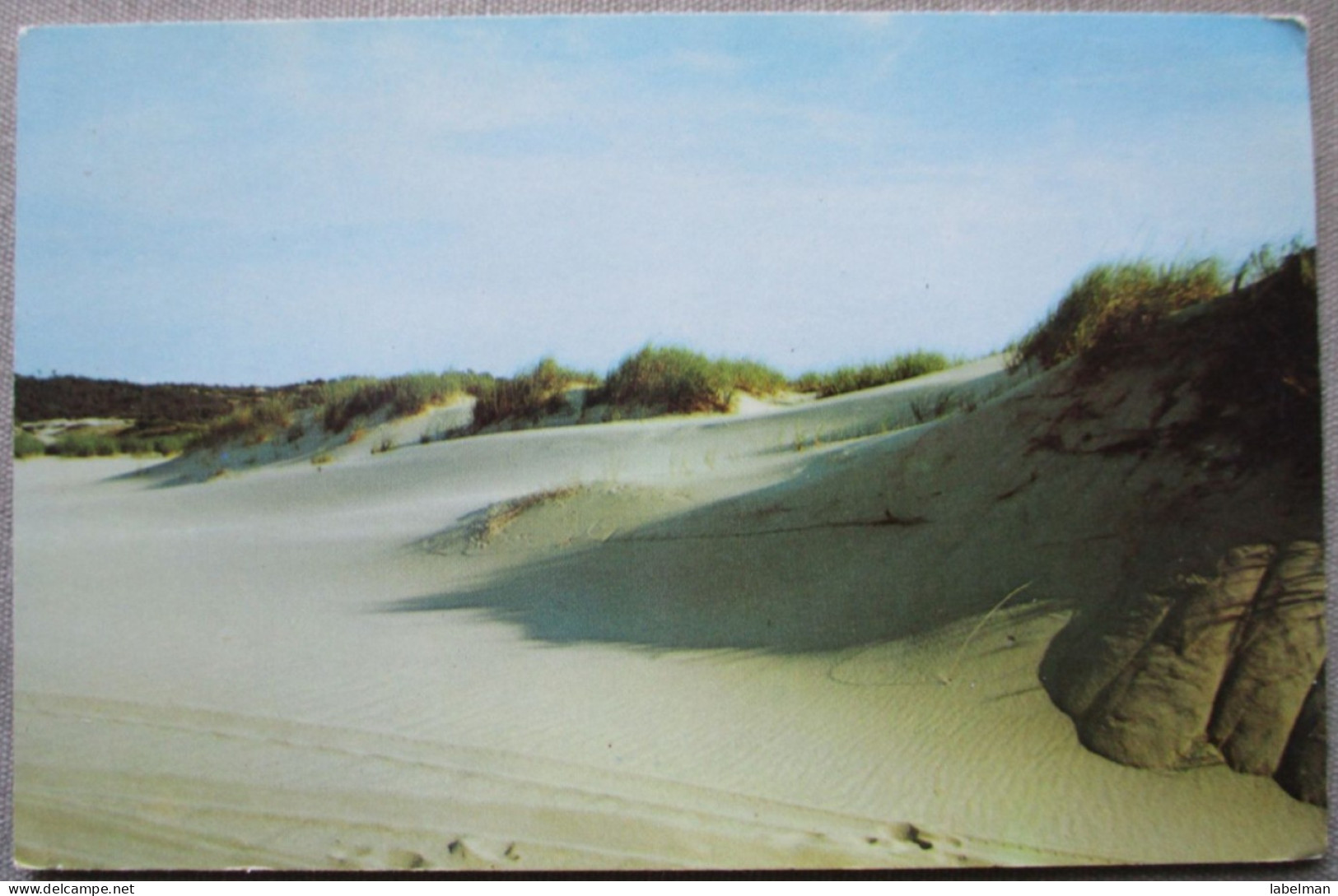 USA UNITED STATES MASSACHUSETTS CAPE COD SAND DUNES KARTE CARD POSTCARD CARTE POSTALE ANSICHTSKARTE CARTOLINA POSTKARTE - Atlanta