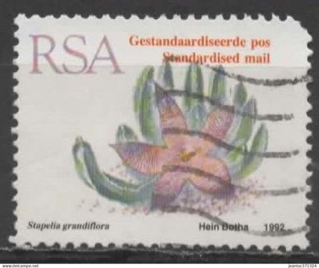 AFRIQUE DU SUD N° 781 Y&T O 1992 Fleurs De Cactus (tapelia Grandiflora) - Used Stamps