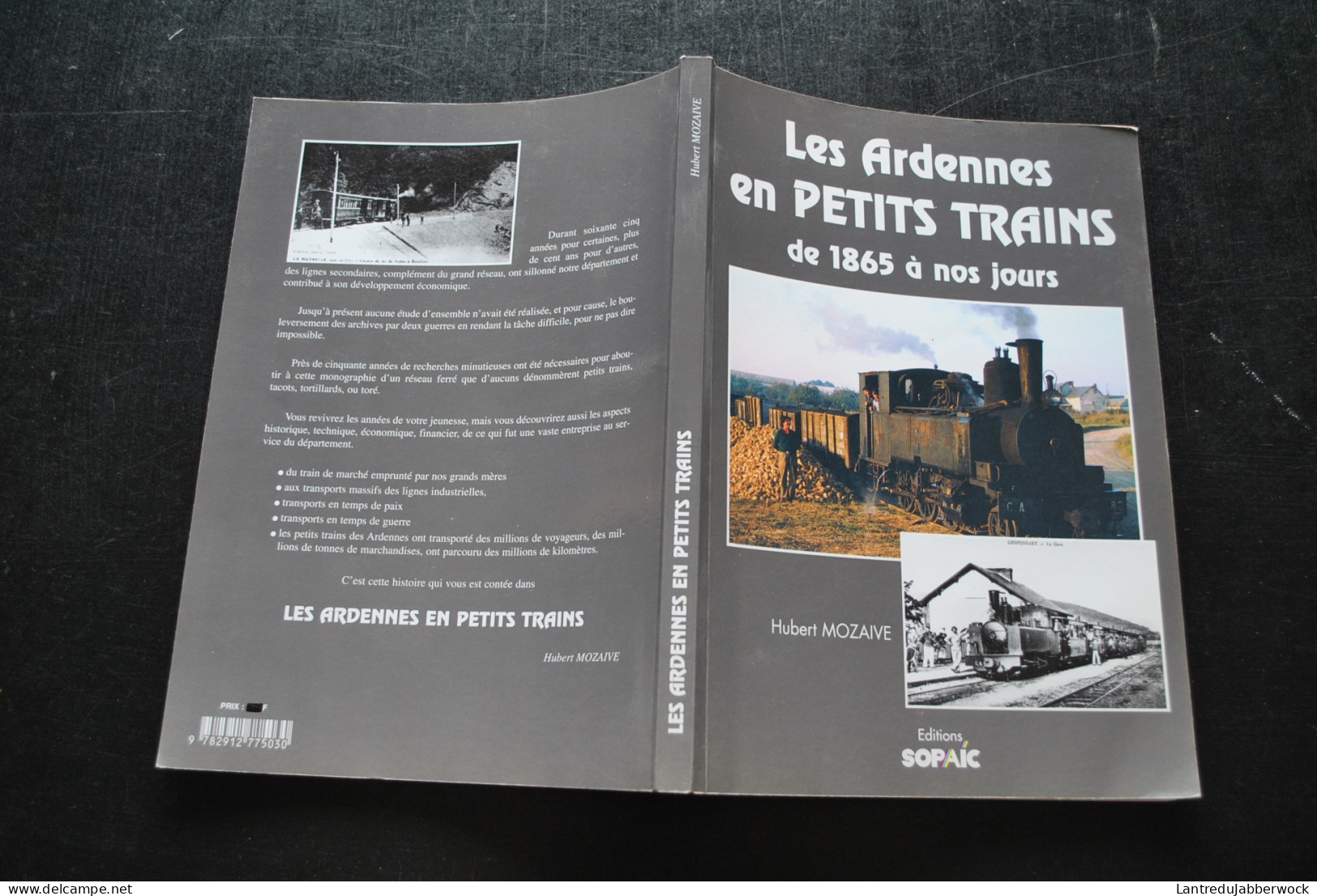 MOZAIVE Les Ardennes En Petits Trains De 1865 à Nos Jours Sedan Maizières Vendresse Wasigny Rocroi Nouzonville Monthermé - Ferrocarril & Tranvías