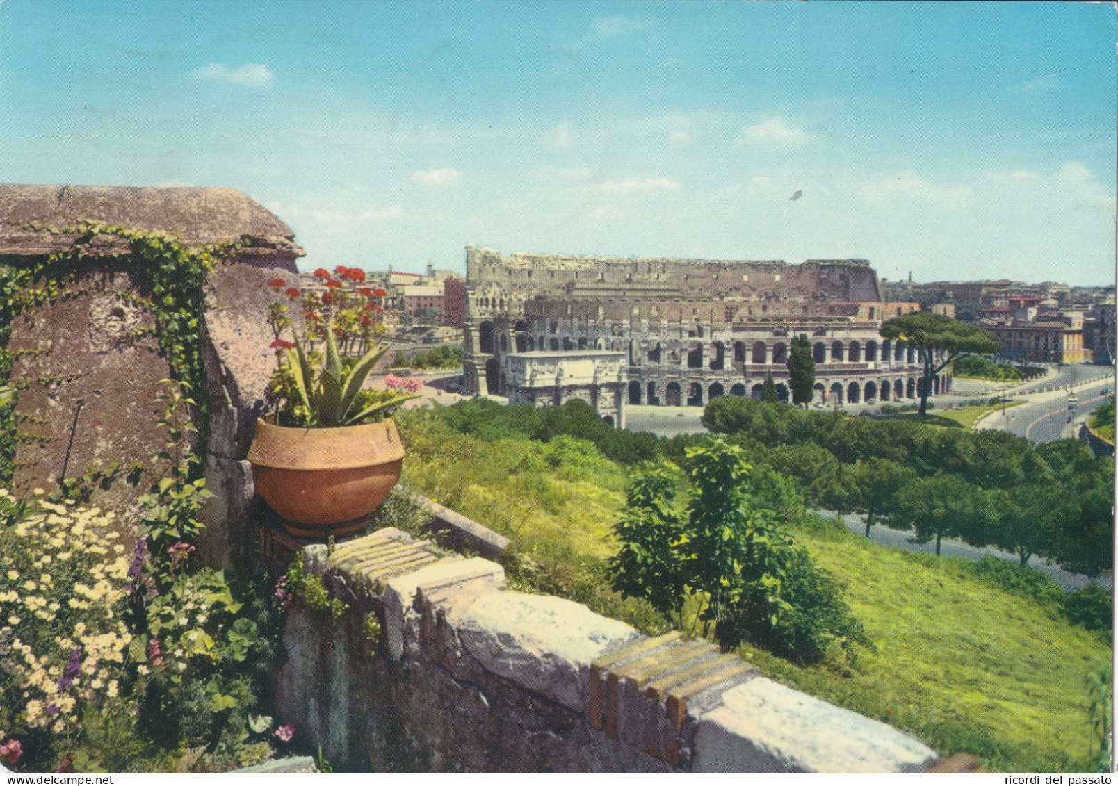 Cartolina Roma - Il Colosseo E Anfiteatro Flavio - Colisée