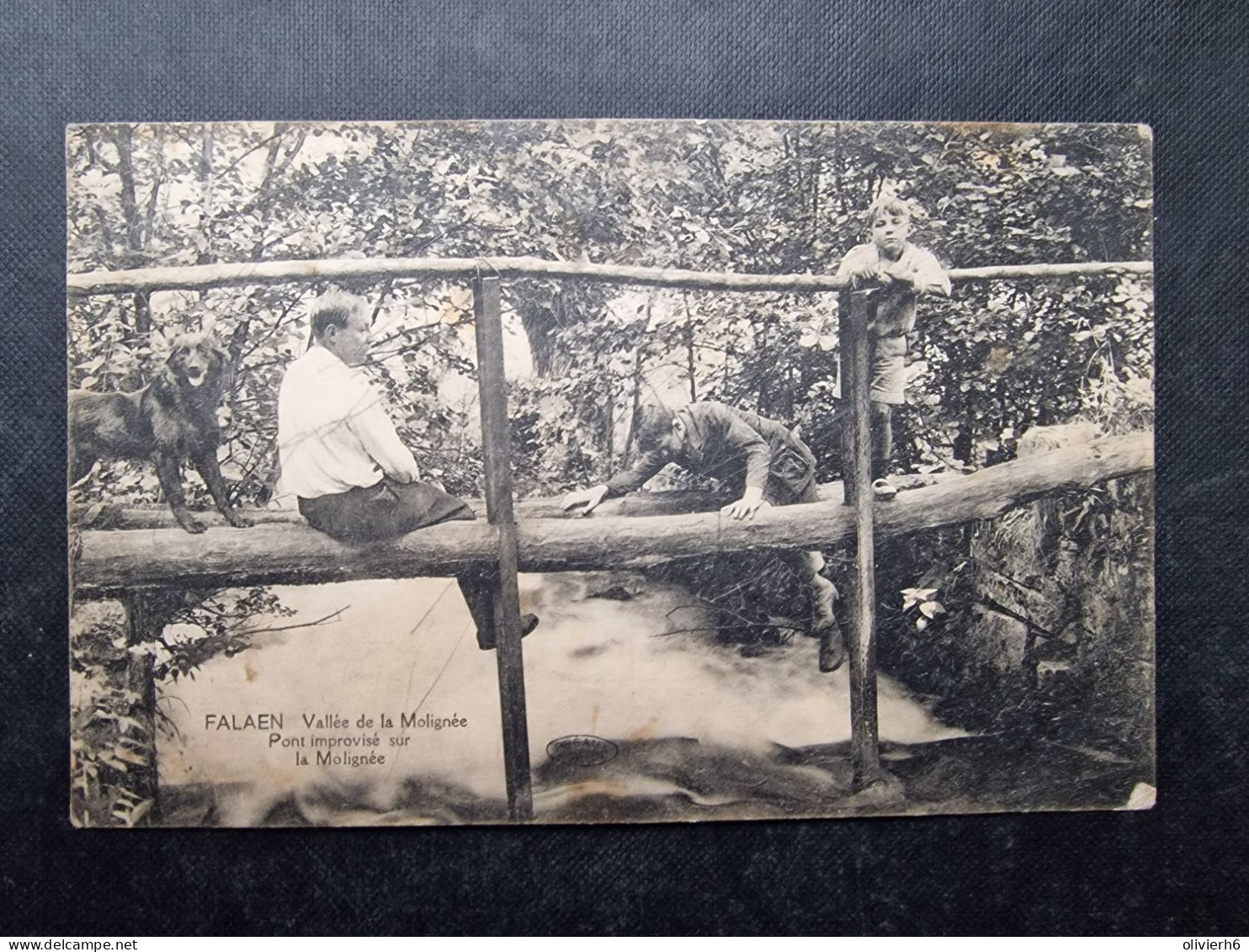 CP BELGIQUE (V1917) FALAËN (2 Vues) Vallée De La Molignée Pont Improvisé Sur La Molignée - Onhaye