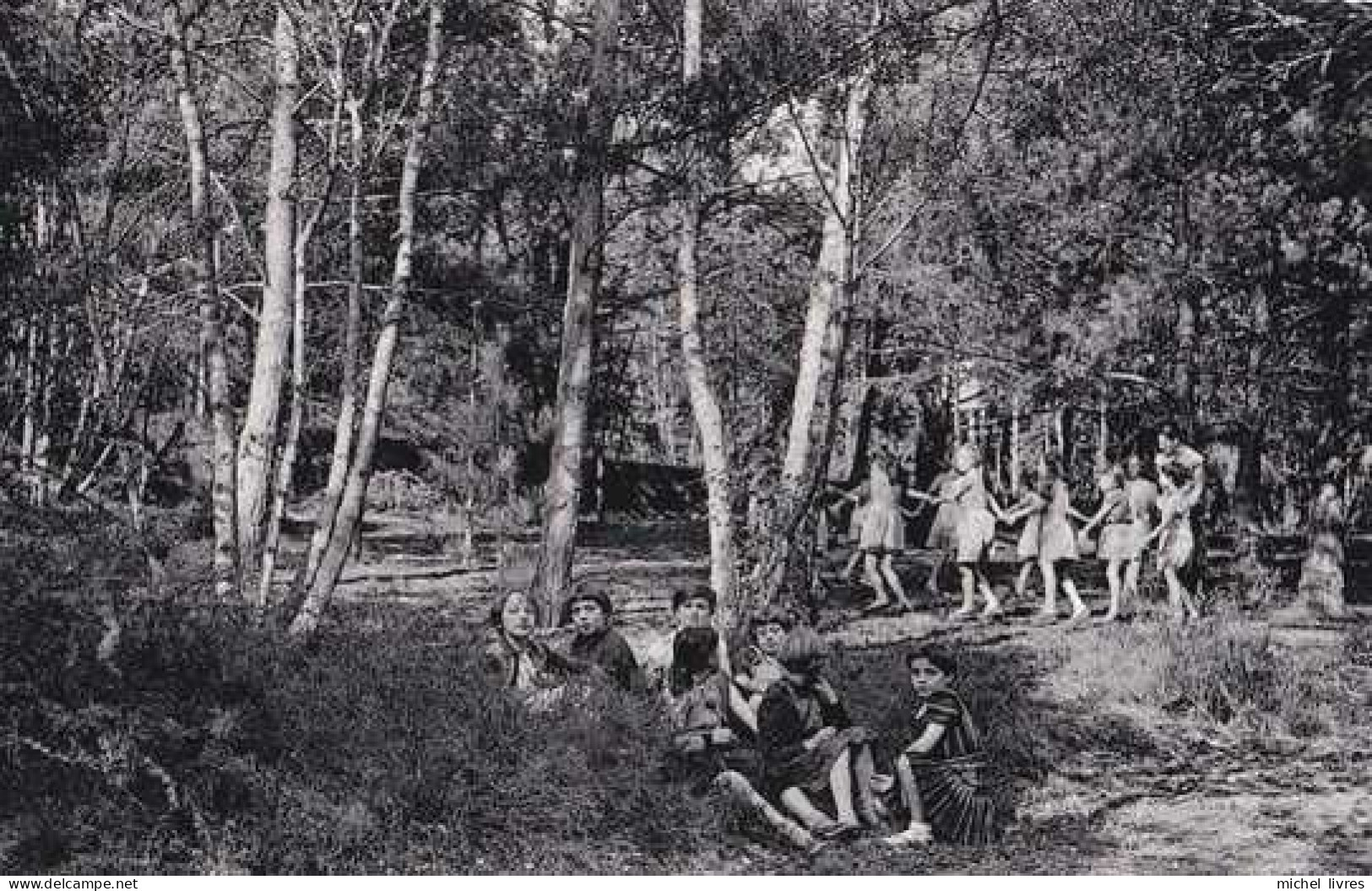 Lasne - Centre De Plein Air Joseph Bracops - Commune Anderlecht - Dans La Forêt - Pas Circulé - Animée - TBE - Lasne