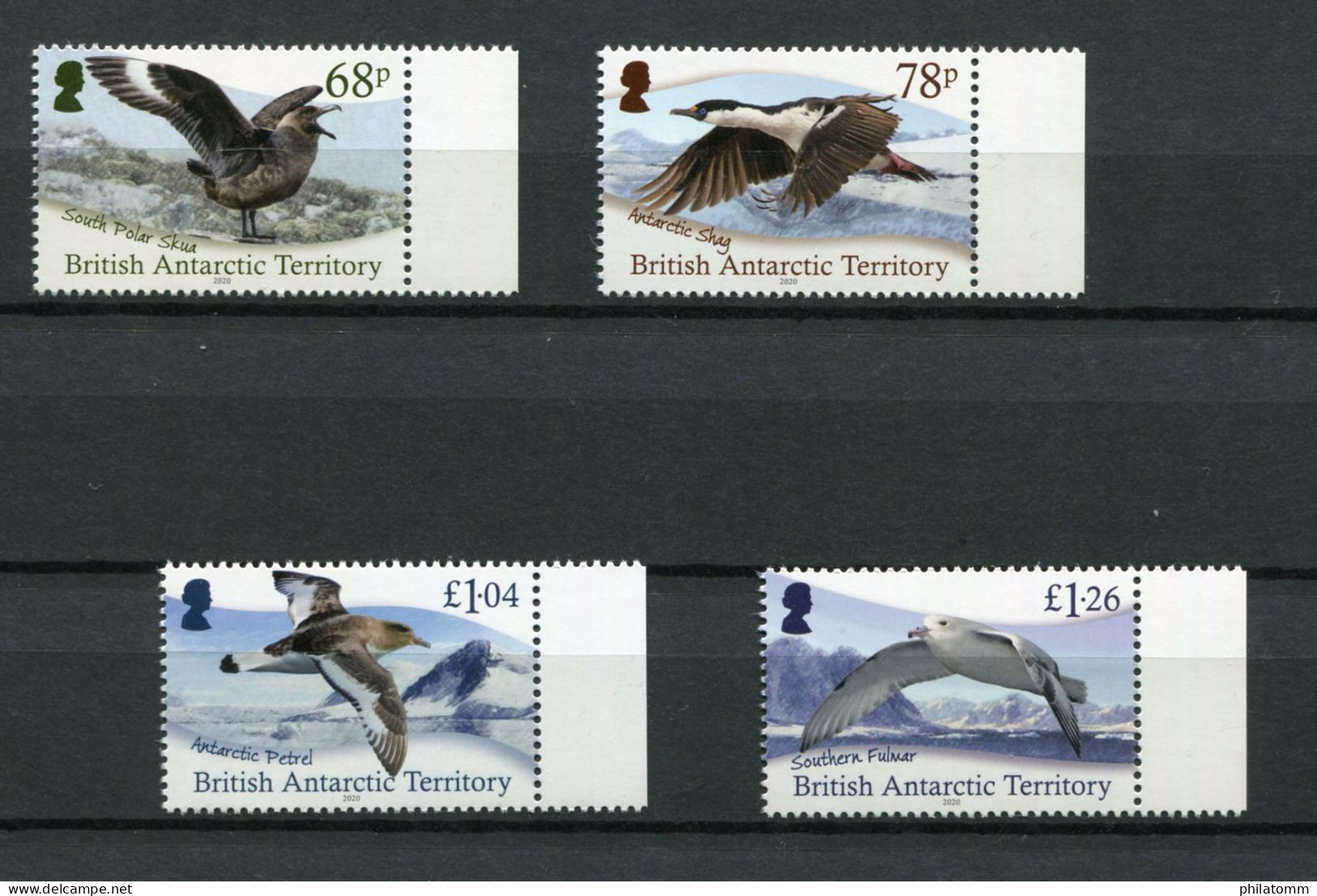 British Antarctic Territory - Mi.Nr. 832 / 835 - "Vögel" ** / MNH (Jahr 2020) - Ongebruikt
