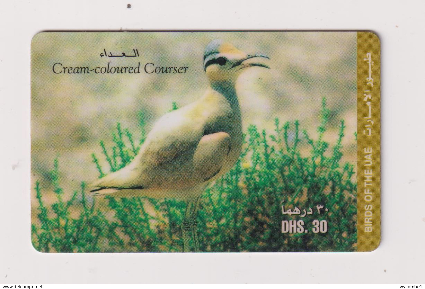 UNITED ARAB EMIRATES - Bird Cream Coloured Courser Remote Phonecard - United Arab Emirates