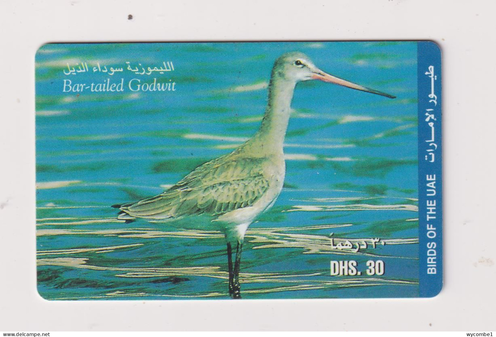 UNITED ARAB EMIRATES - Bird Bar Tailed Godwit Remote Phonecard - Ver. Arab. Emirate