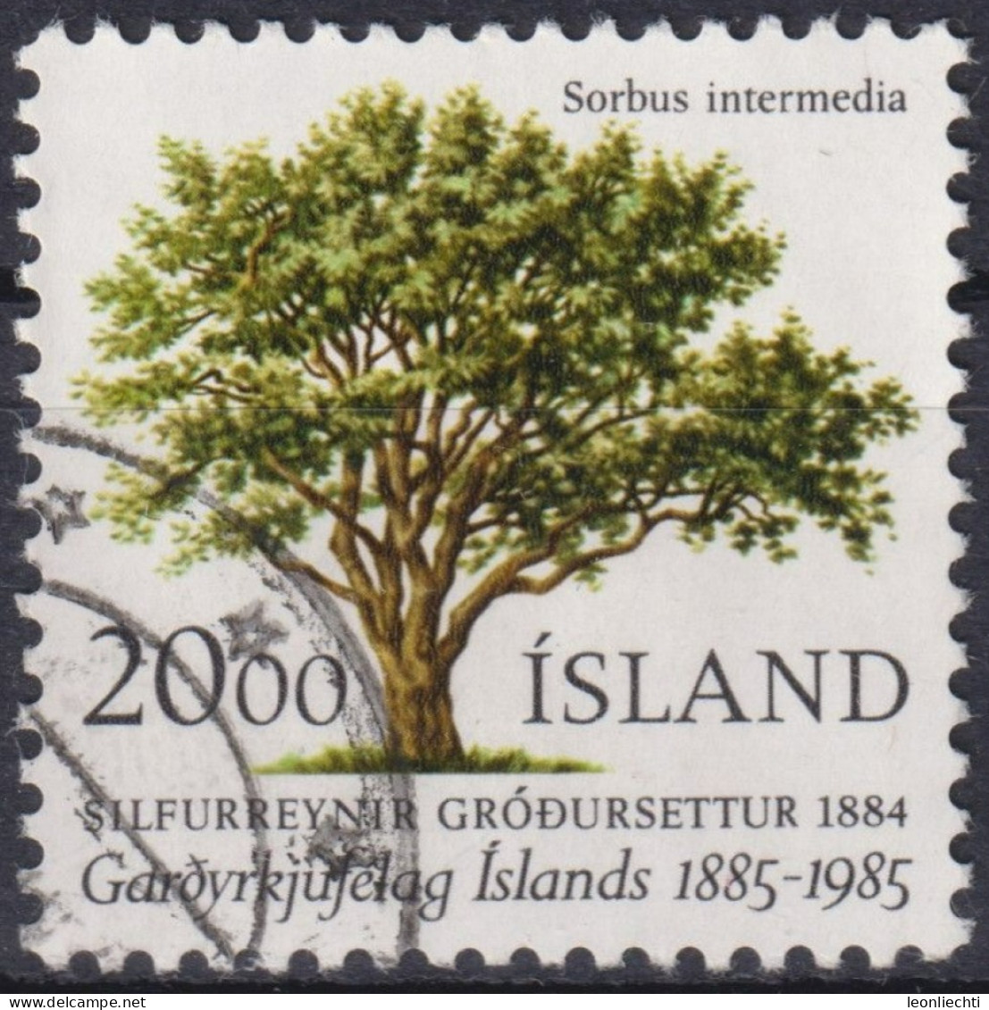 1985 Island > 1944-... Republik ° Mi:IS 634, Sn:IS 608, Yt:IS 588, Icelandic Horticultural Society, Centenary, Baum - Gebraucht