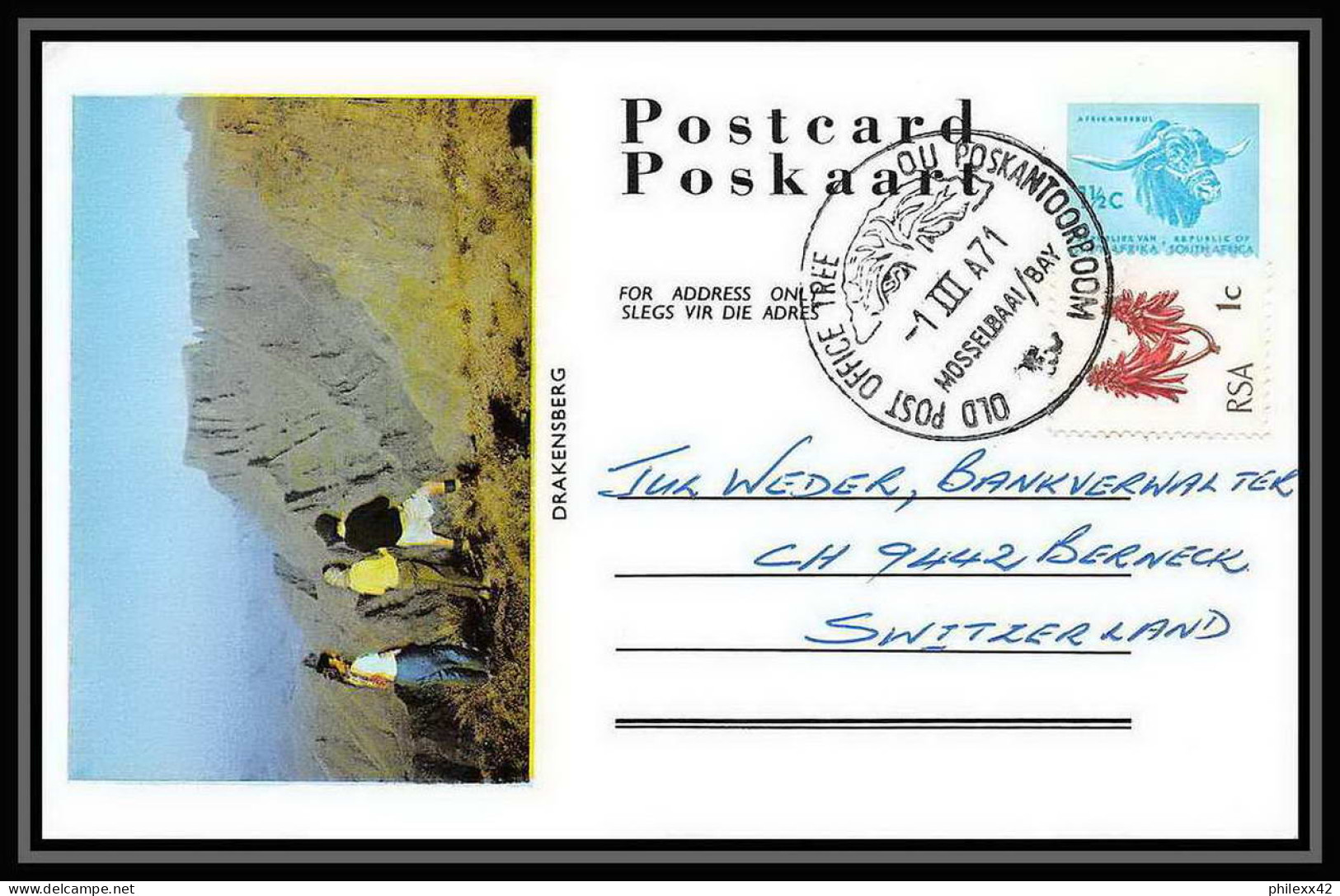 1733/ Afrique Du Sud (RSA) Entier Stationery Carte Postale (postcard) 1971 Pour Berne Suisse (Swiss) - Lettres & Documents