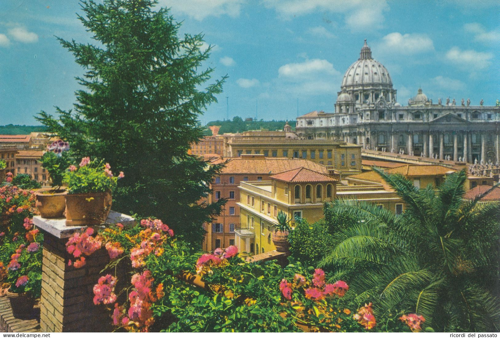 Cartolina Roma - Basilica Di S.pietro - San Pietro