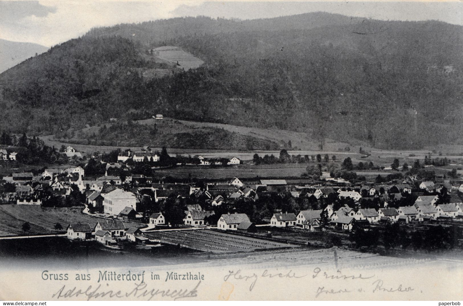 MITTERDORF IM MURZTHALE 1905 - Mürzzuschlag