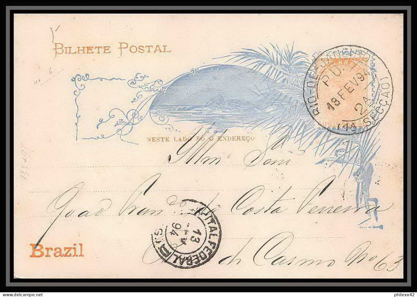 3986/ Brésil (brazil) Entier Stationery Carte Postale (postcard) N°17 1894 - Postwaardestukken