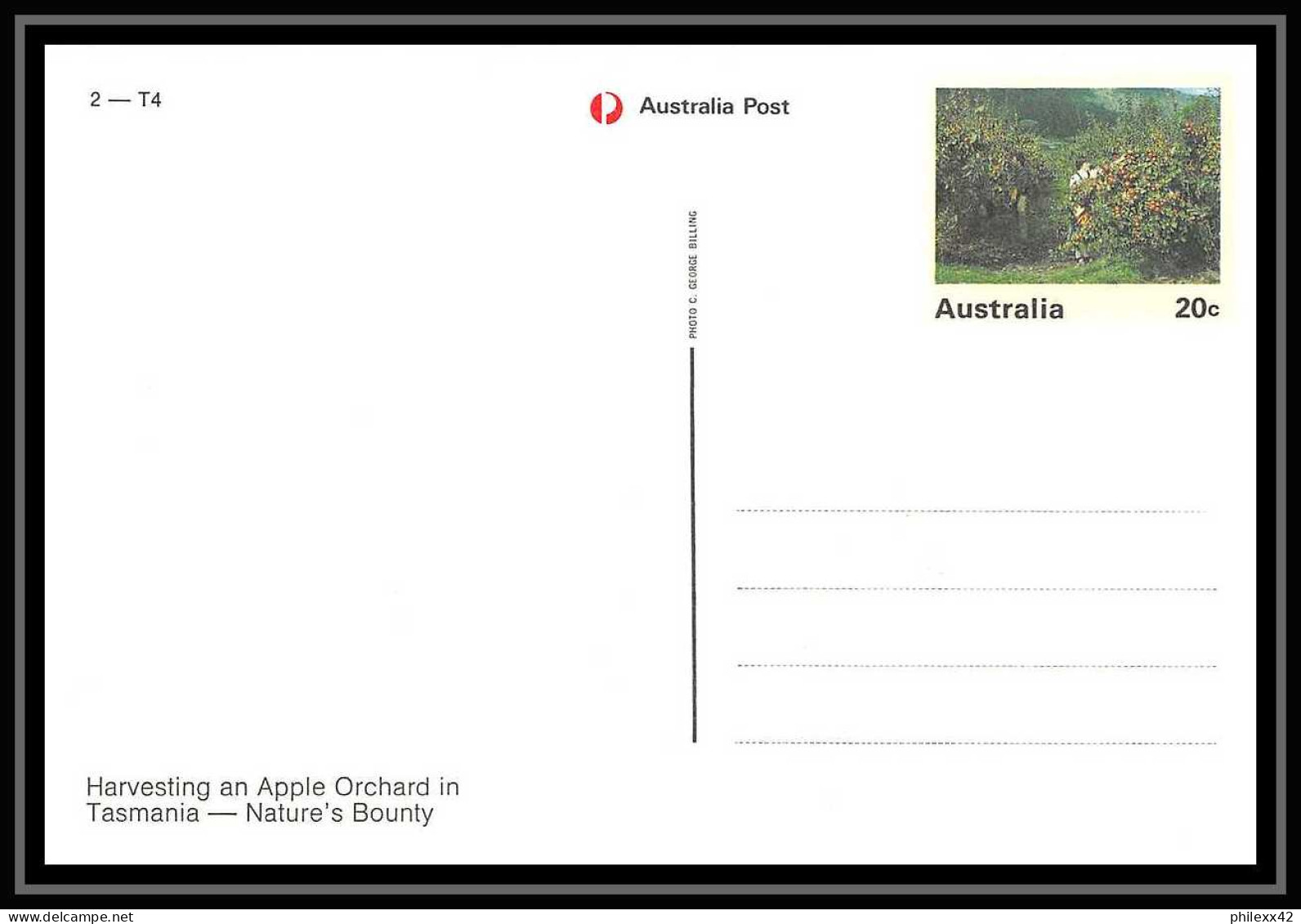 4677 animals 41 carte postale pre stamped postcards serie 2 + housse Australie australia Entier postal Stationery