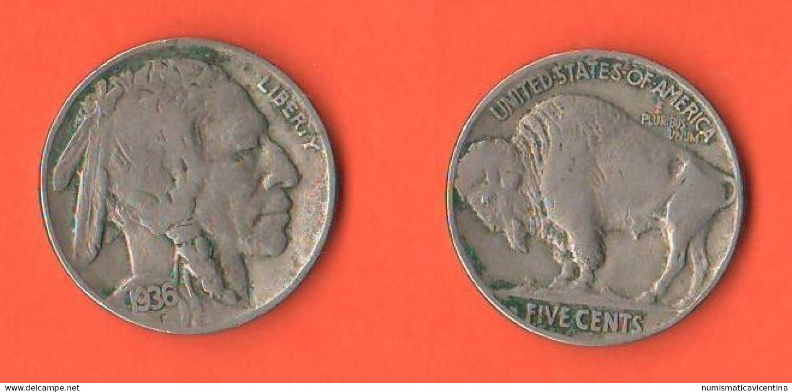 America 5 Cents 1936 Buffalo USA Five Cents America Nickel Coin   XXX - 1913-1938: Buffalo