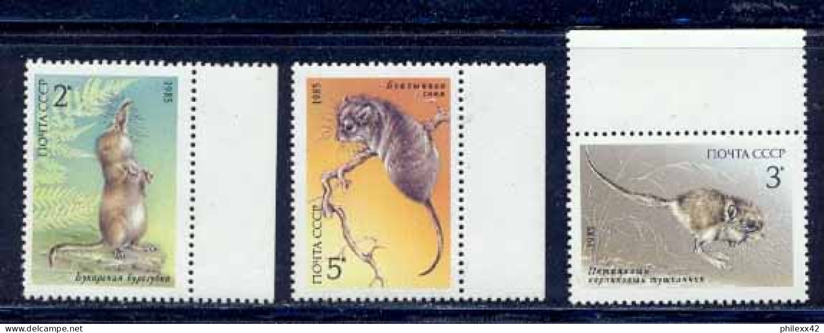 Russie (Russia Urss USSR) - 166 - N°5240 / 5242 Faune (Animals & Fauna) RONGEURS - Nager