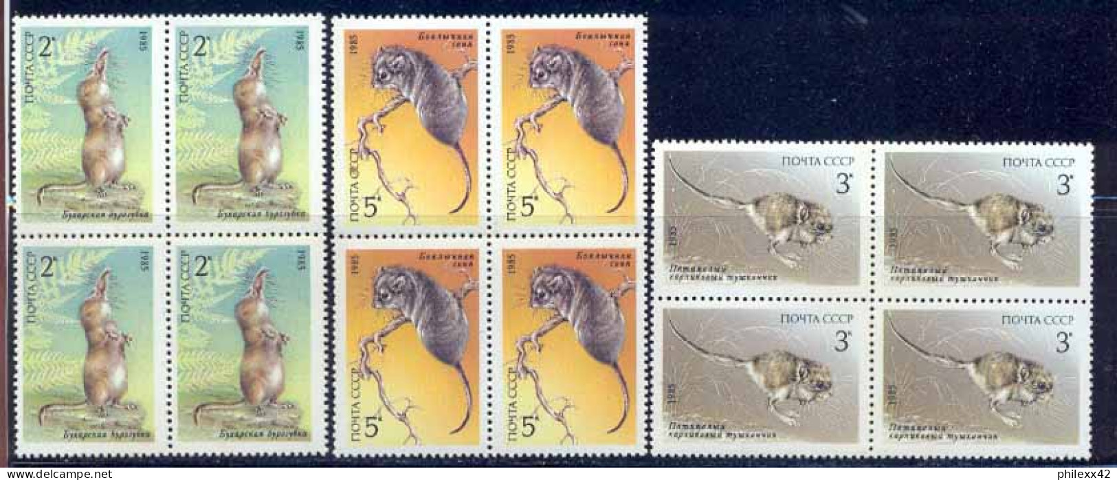 Russie (Russia Urss USSR) - 166a N°5240 / 5242 Faune (Animals & Fauna) RONGEURS Bloc 4 - Rodents