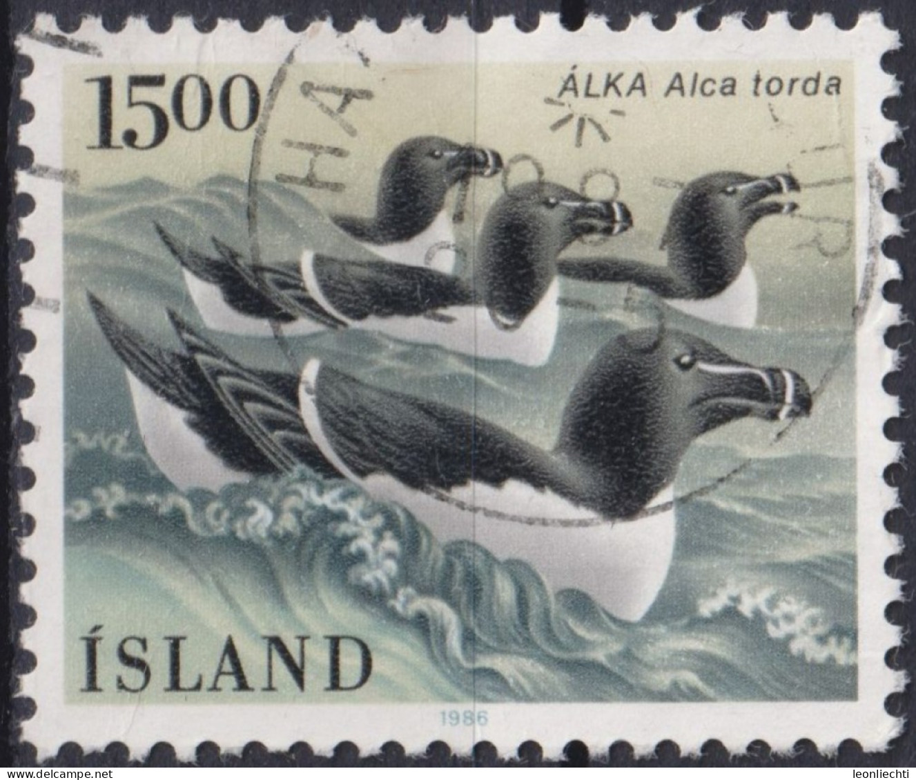 1986 Island > 1944-... Republik ° Mi:IS 647, Sn:IS 621, Yt:IS 600, Razorbill (Alca Torda), Vögel - Gebraucht