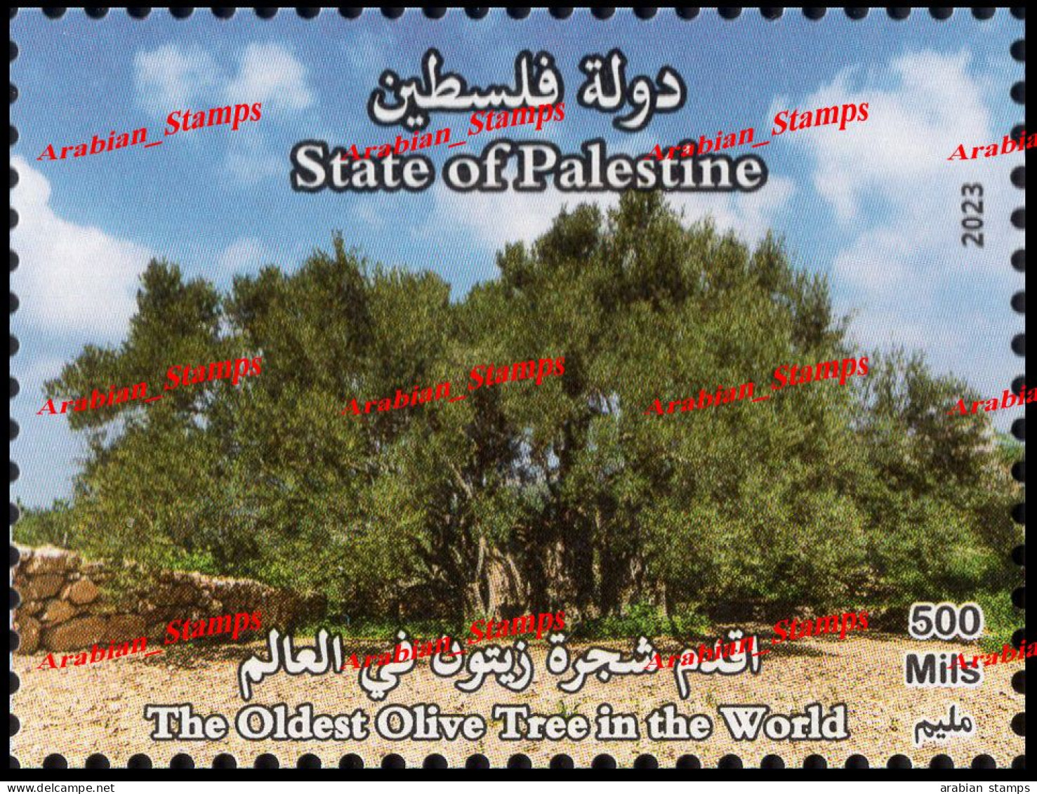 2023 PALESTINE THE OLDEST OLIVE TREE IN THE WORLD FLORA TREES MS SHEET - Palestine