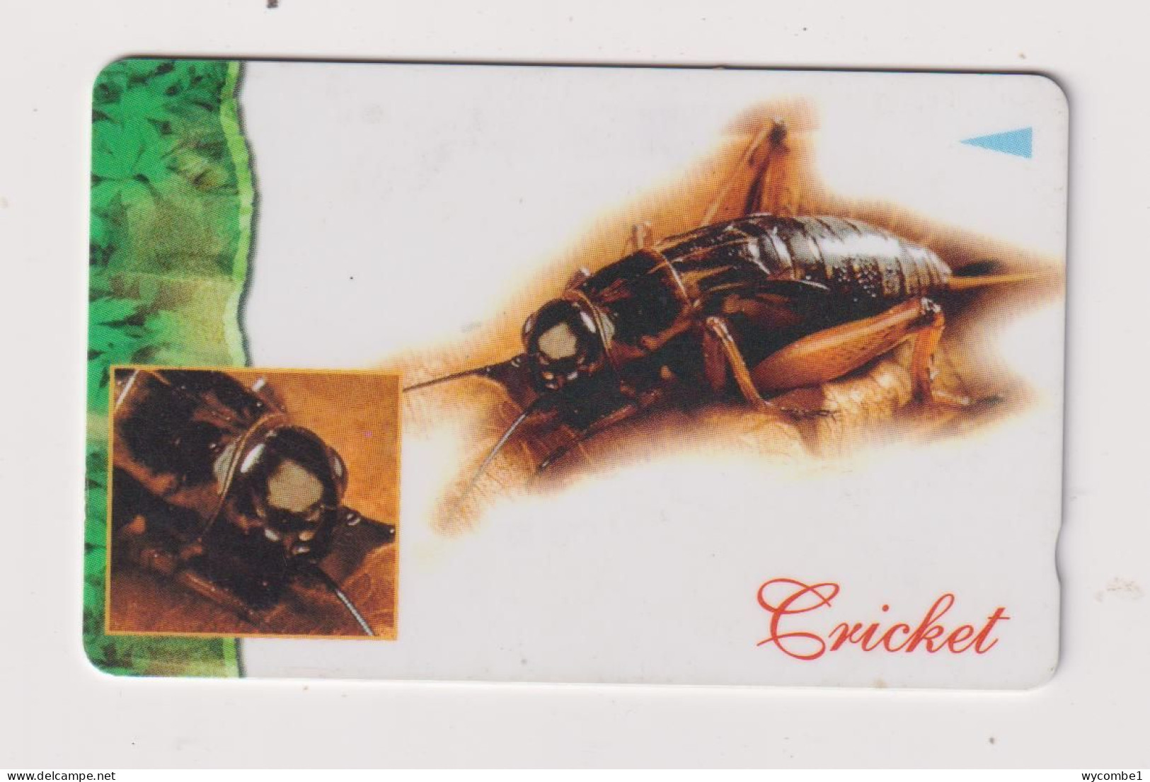SINGAPORE - Insect Cricket GPT Magnetic Phonecard - Singapore
