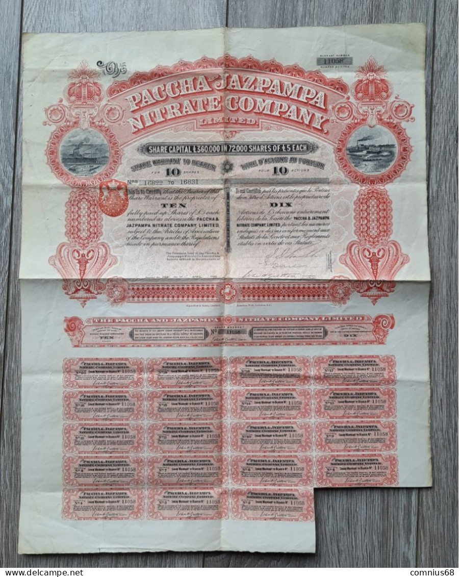 Paccha And Jazpampa Nitrate Co. Ltd. Titre De 10 Actions 5 Livres Sterling, 1895, Londres - P - R