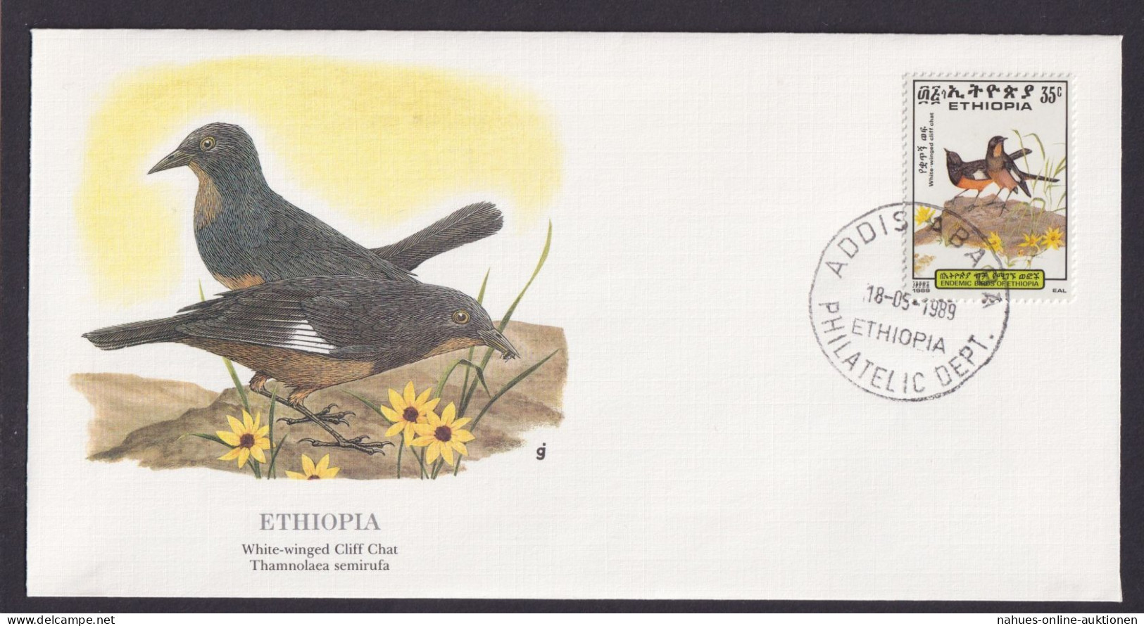 Ethiopia Äthiopien Ostafrika Fauna Felsensteinmätzer Schöner Künstler Brief - Etiopia