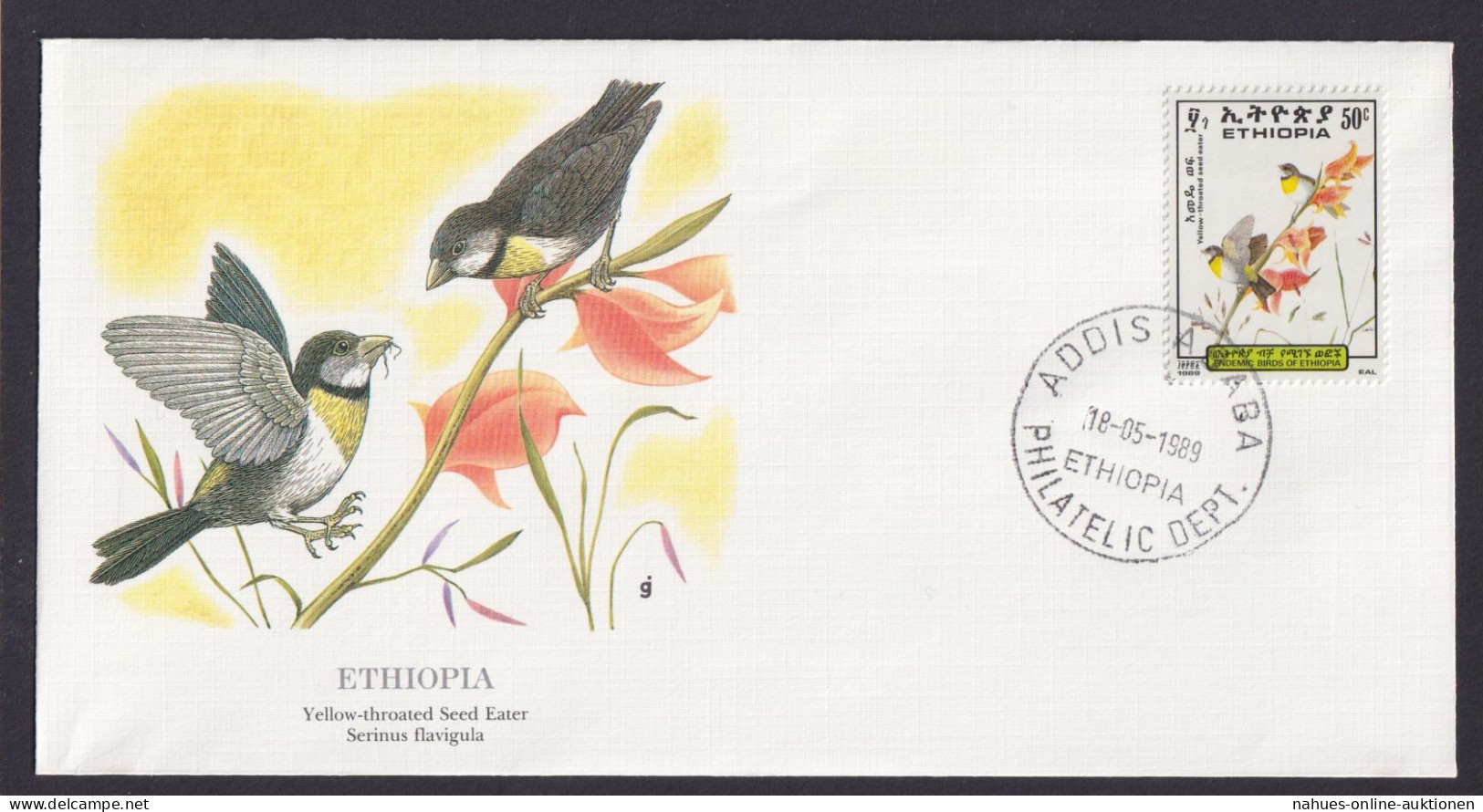 Ethiopia Äthiopien Ostafrika Fauna Gelbhalsige Samenfresser Künstler Brief - Ethiopie