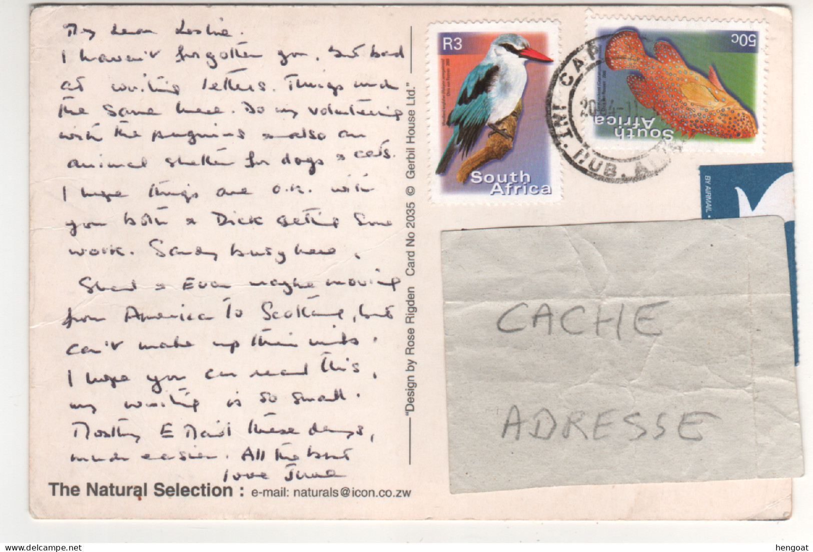 Timbre , Stamp " Oiseau : Halcyon Senegalensis ; Poisson : Cephalophode Minista  " Sur CP , Carte , Postcard De 2004 - Lettres & Documents