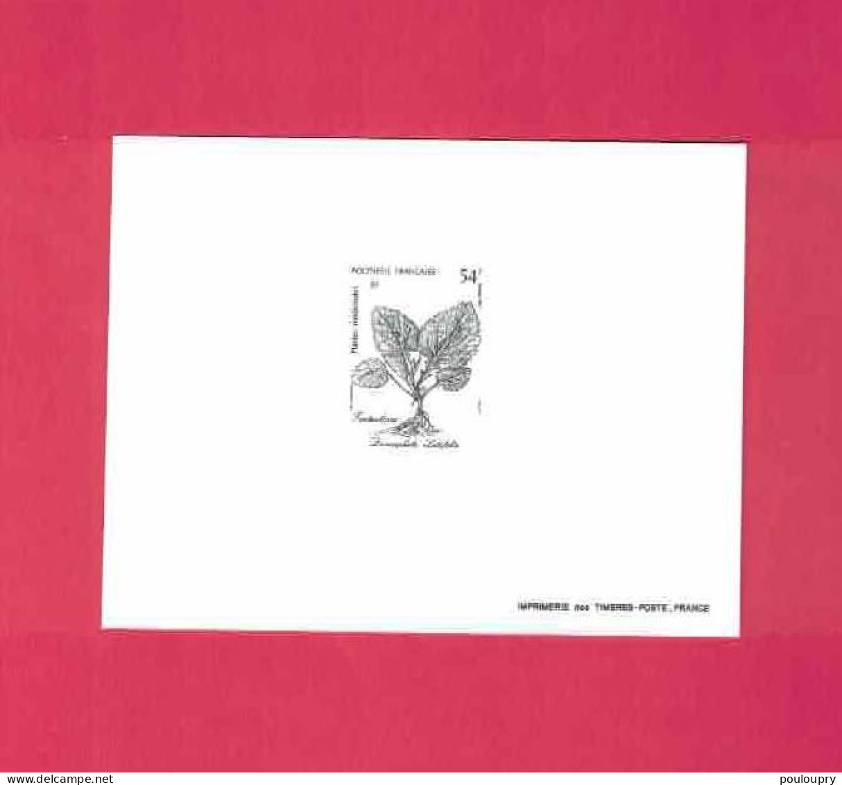 Epreuves De Luxe N° 285 à 287 - Plantes Médicinales - Flore - Sin Dentar, Pruebas De Impresión Y Variedades