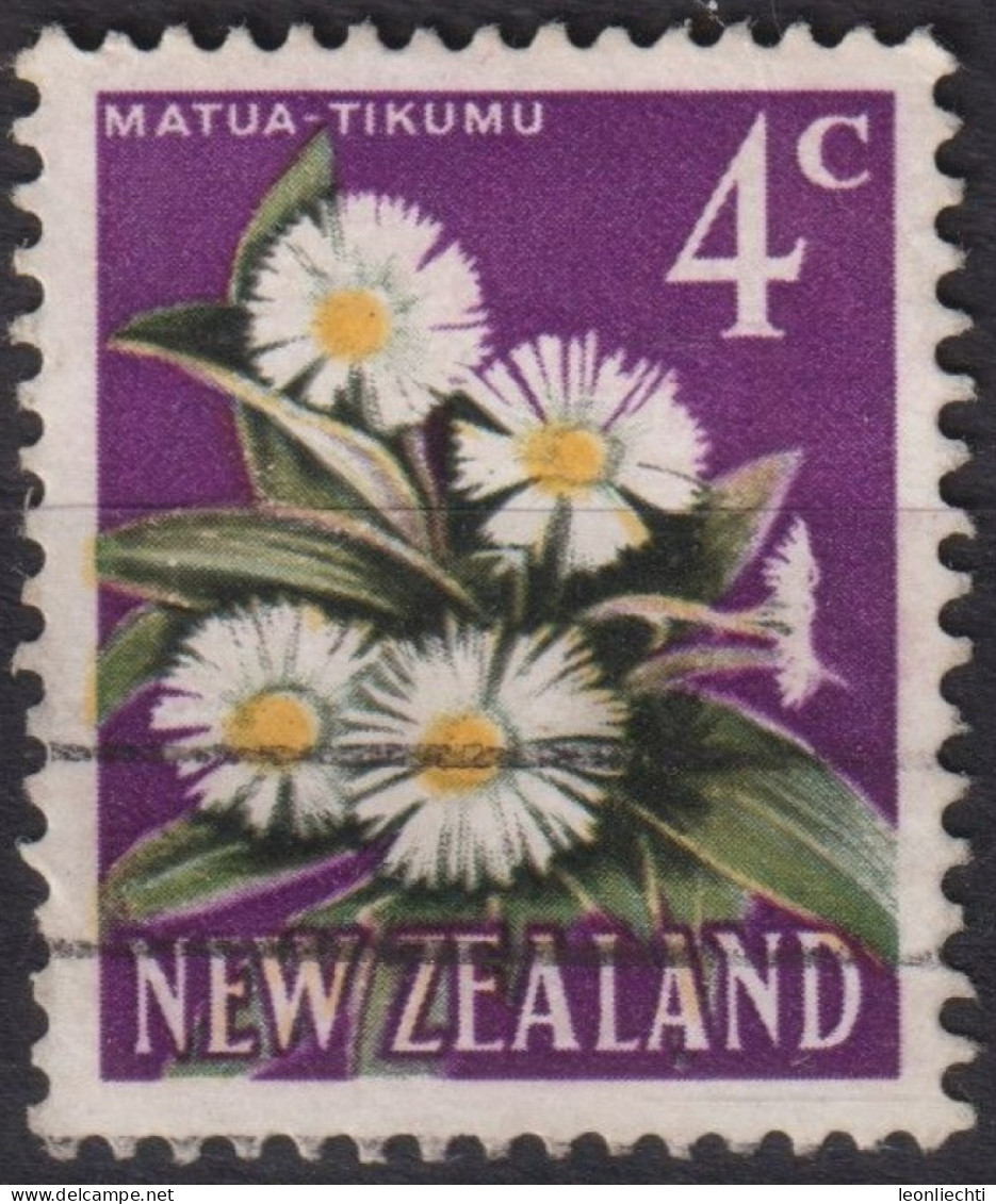 1962 Neuseeland ° Mi:NZ 398, Sn:NZ 339, Yt:NZ 388A, Mountain Daisy (Celmisia Coriacea), Blumen - Usati