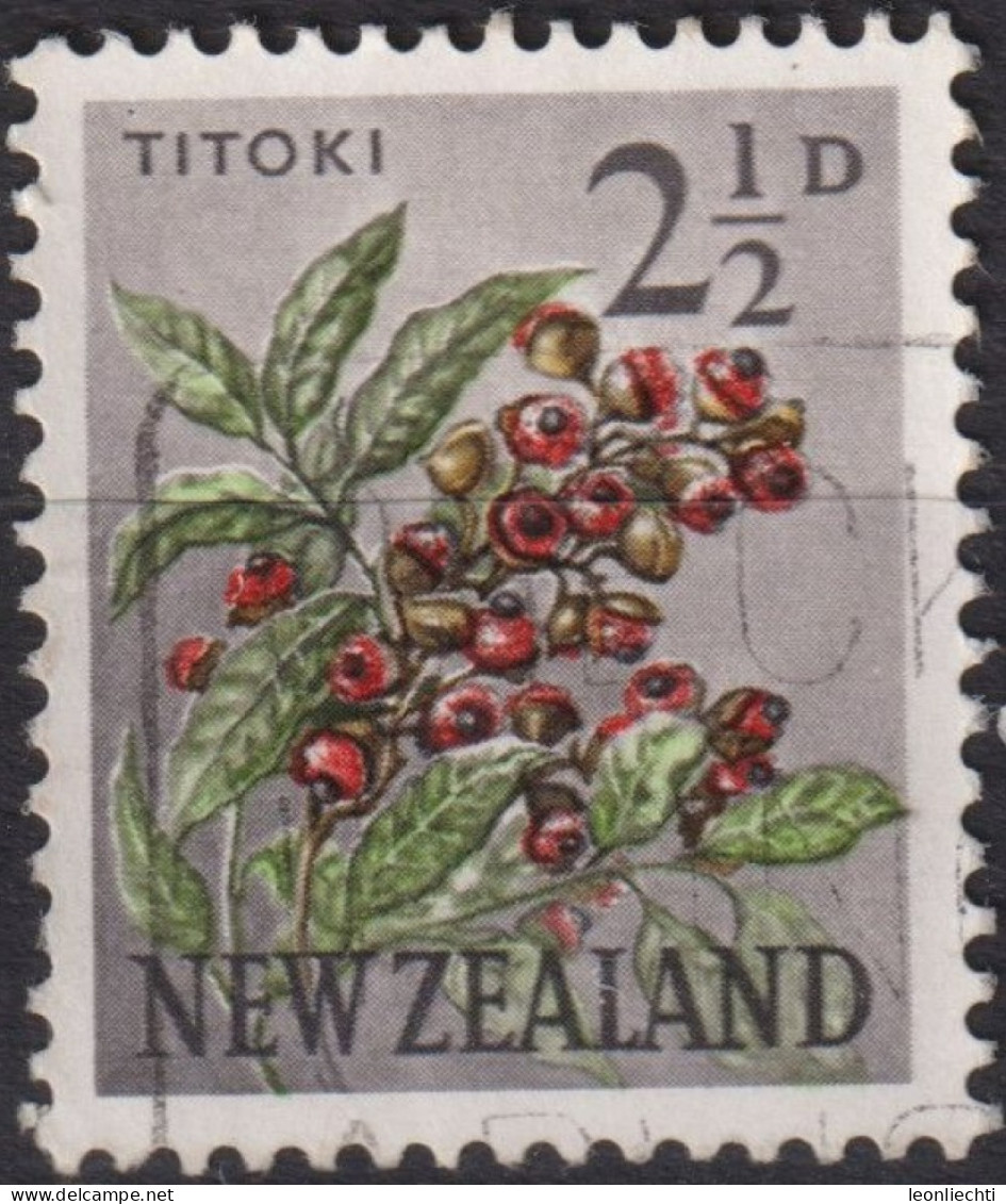 1961 Neuseeland ° Mi:NZ 395, Sn:NZ 336, Yt:NZ 386A, Titoki / New Zealand Oak (Alectryon Excelsus), Blumen - Oblitérés