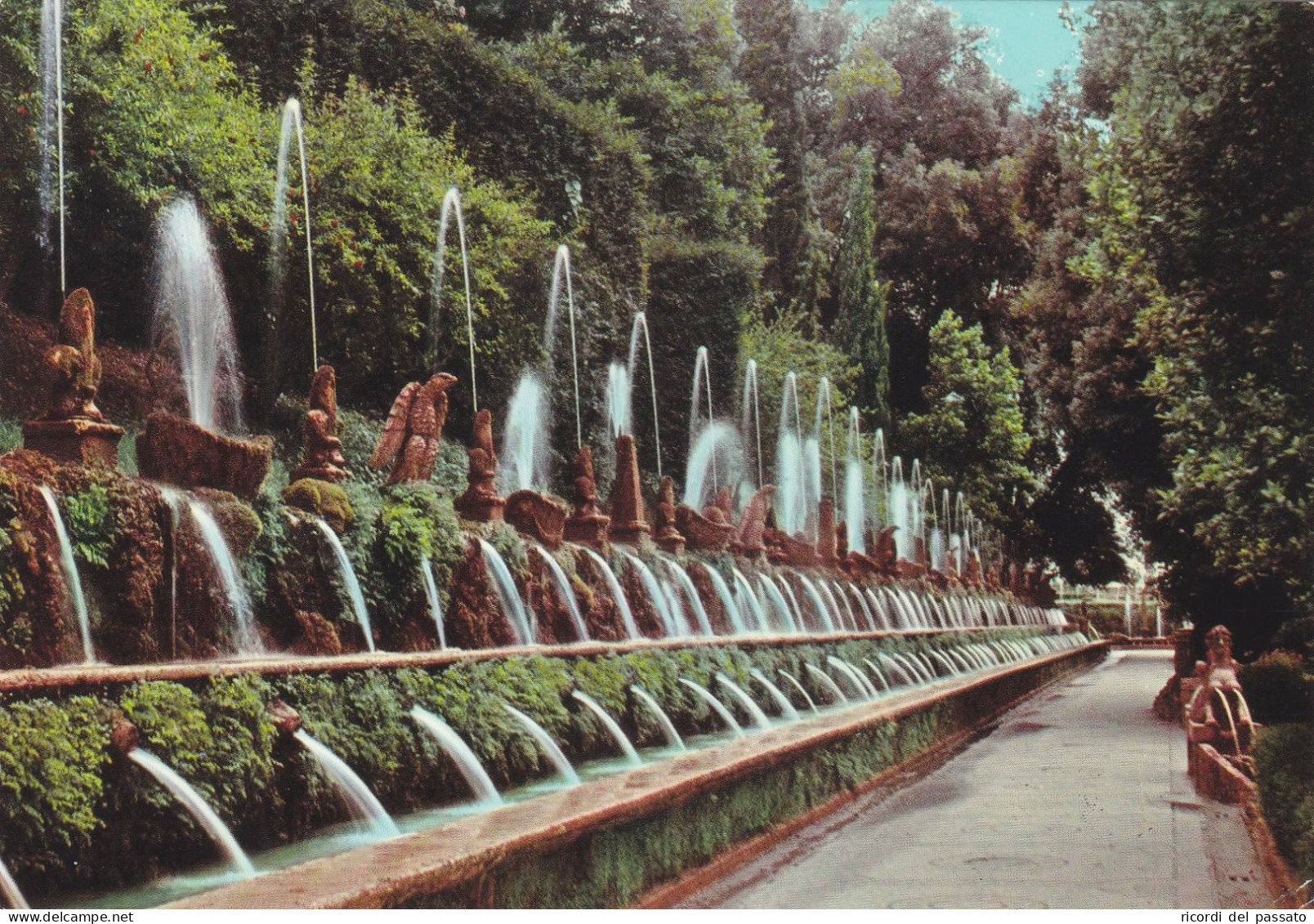 Cartolina Tivoli ( Roma ) - Villa D'este  - Cento Fontane - Tivoli